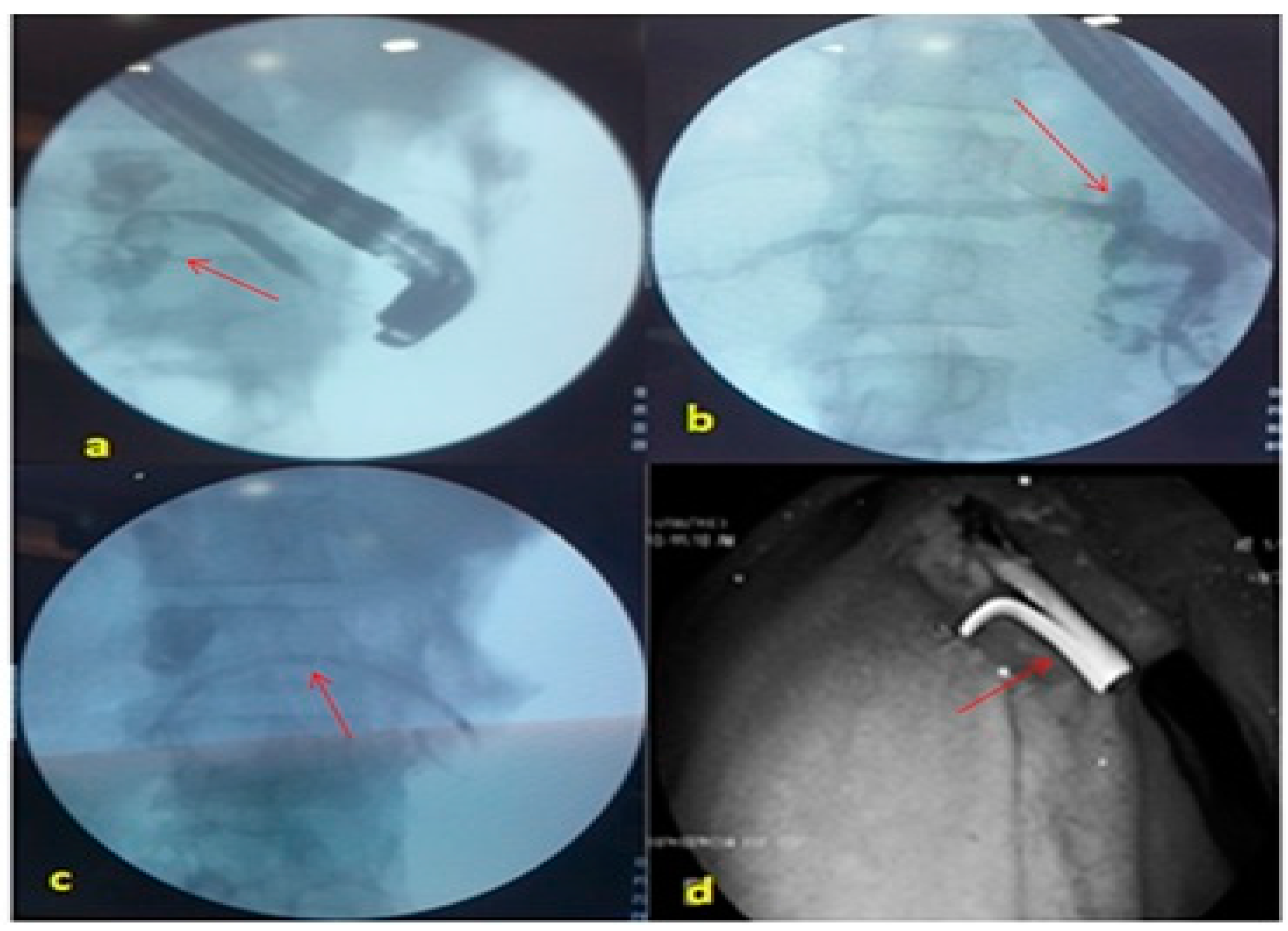 Medsci 05 00006 g001