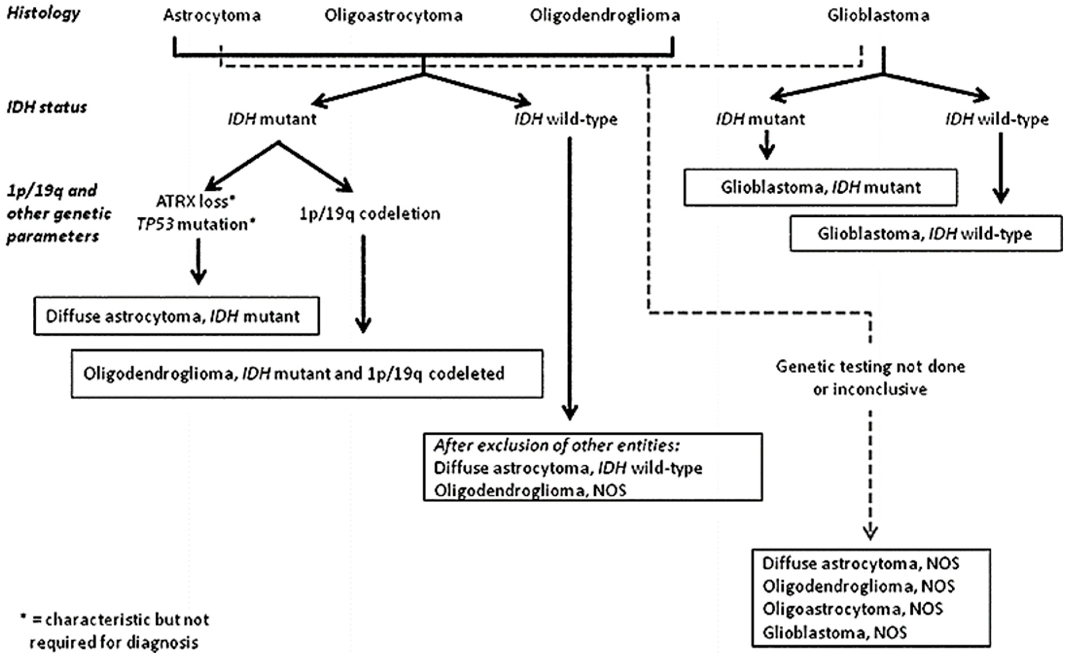 Medsci 05 00016 g003
