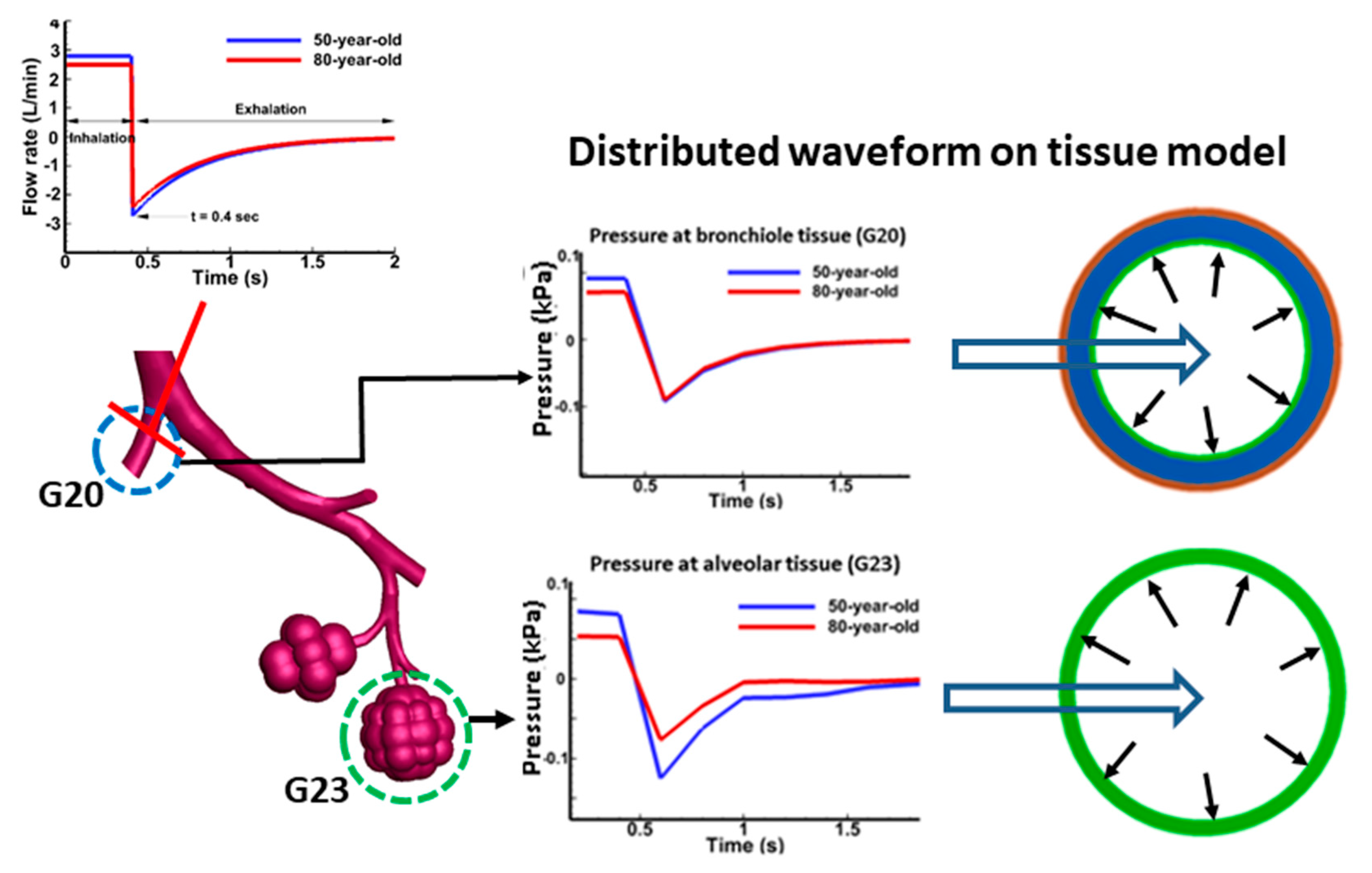 Medsci 05 00021 g002