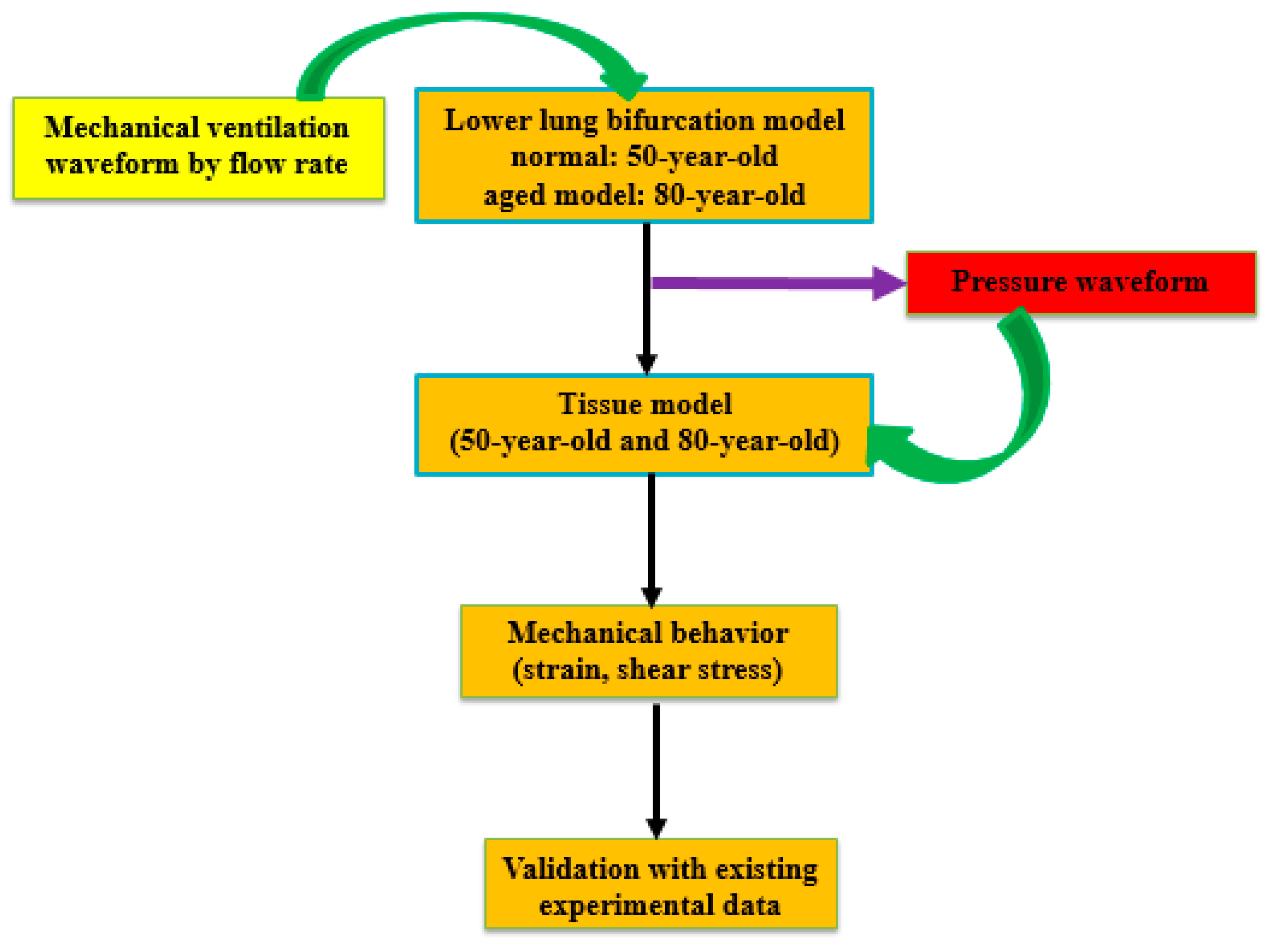 Medsci 05 00021 g003