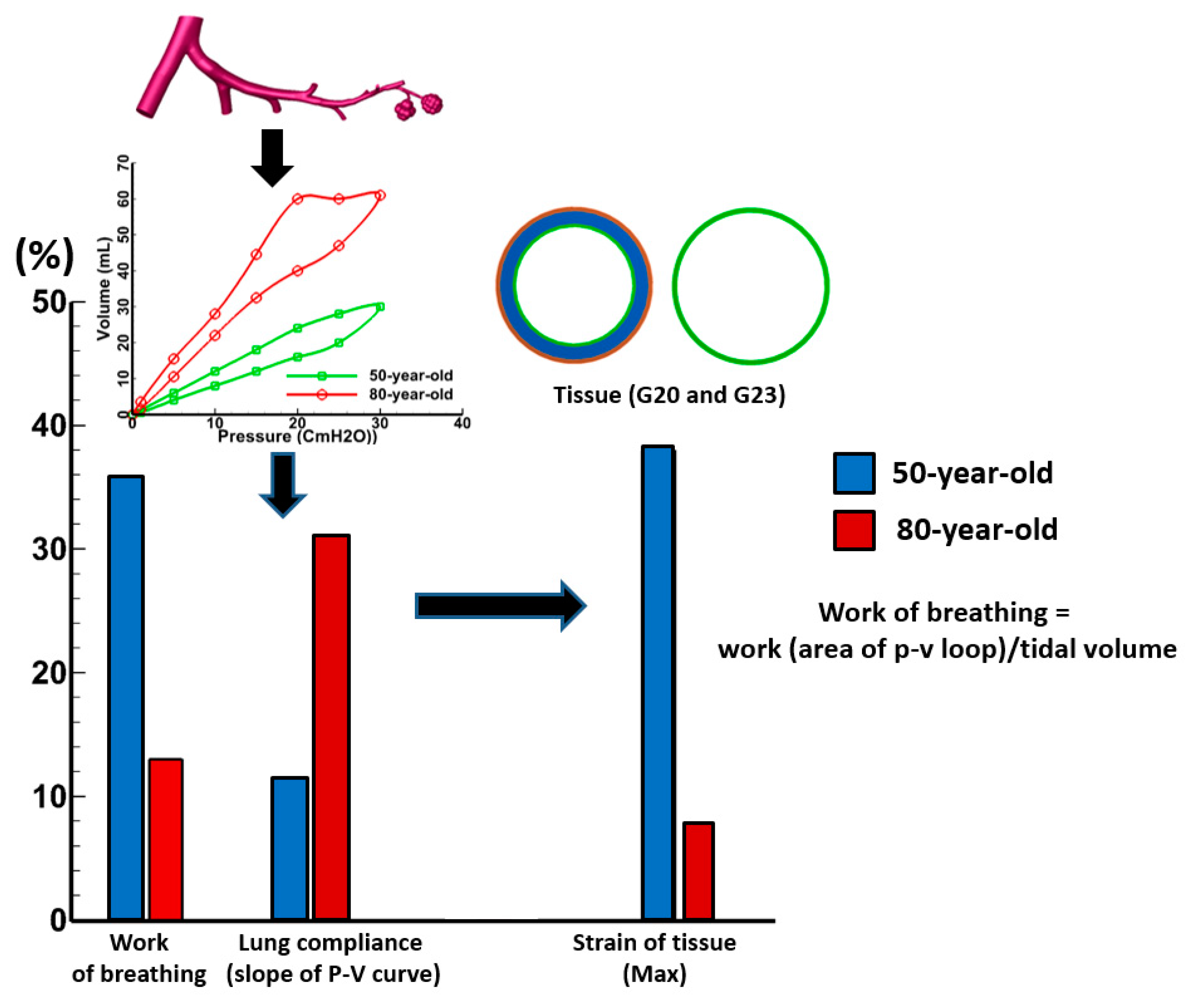 Medsci 05 00021 g011