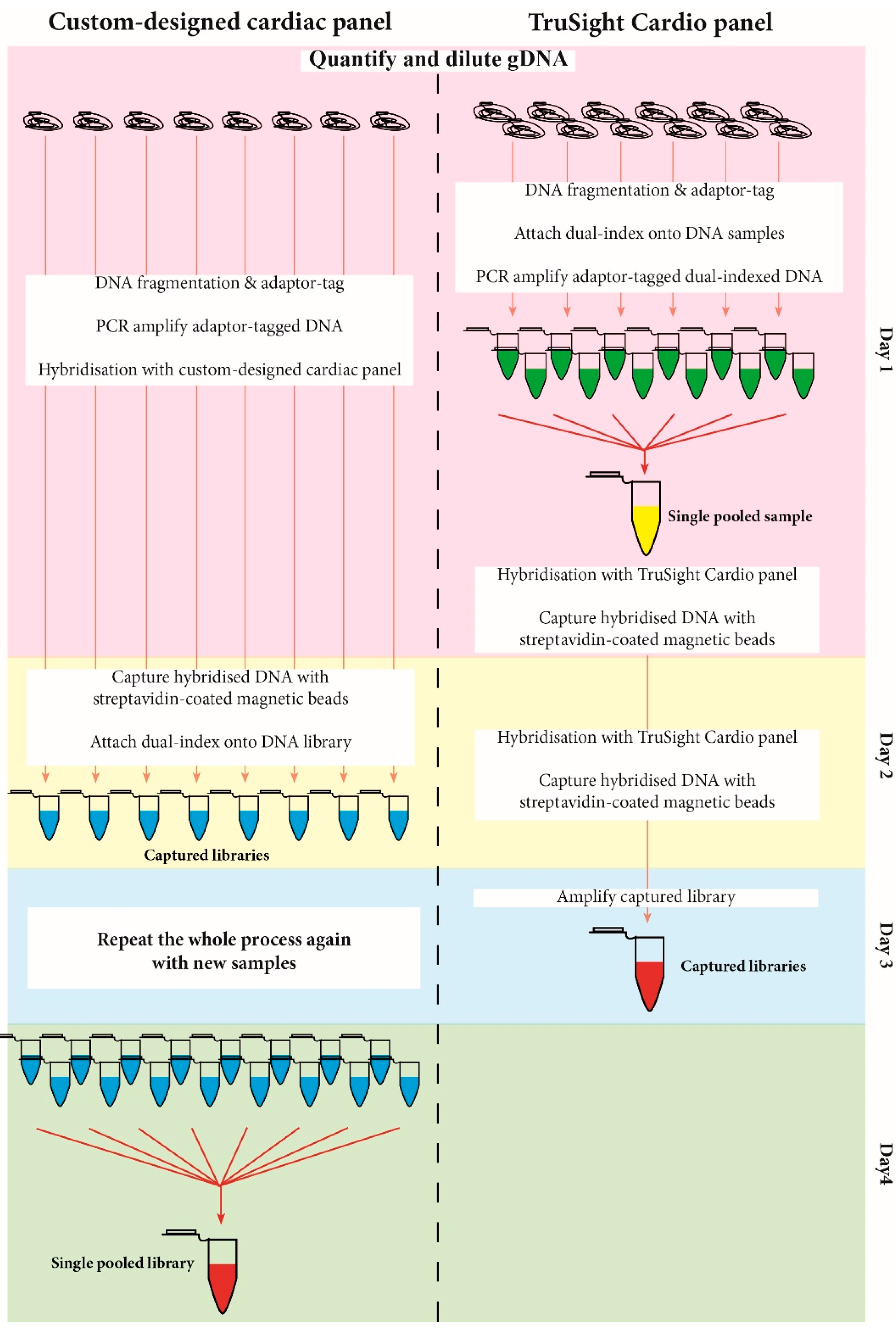 Medsci 05 00022 g001
