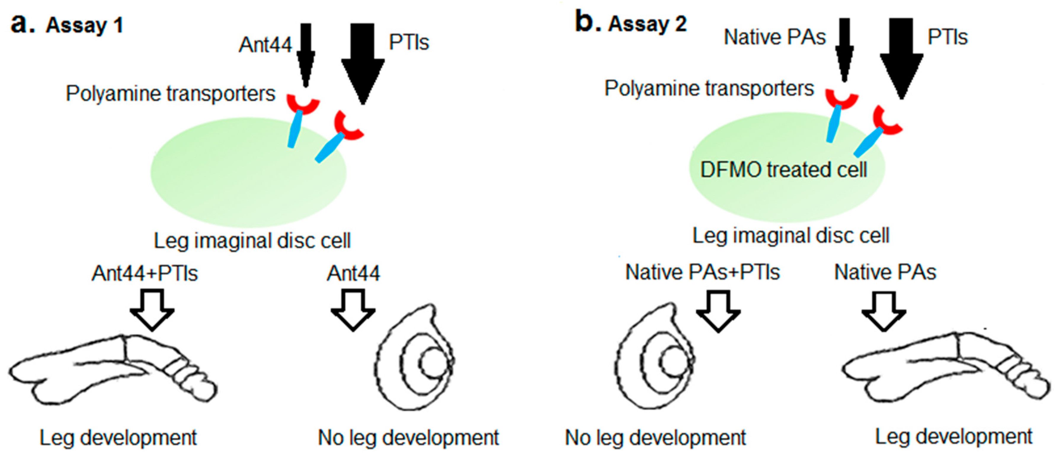 Medsci 05 00027 g002