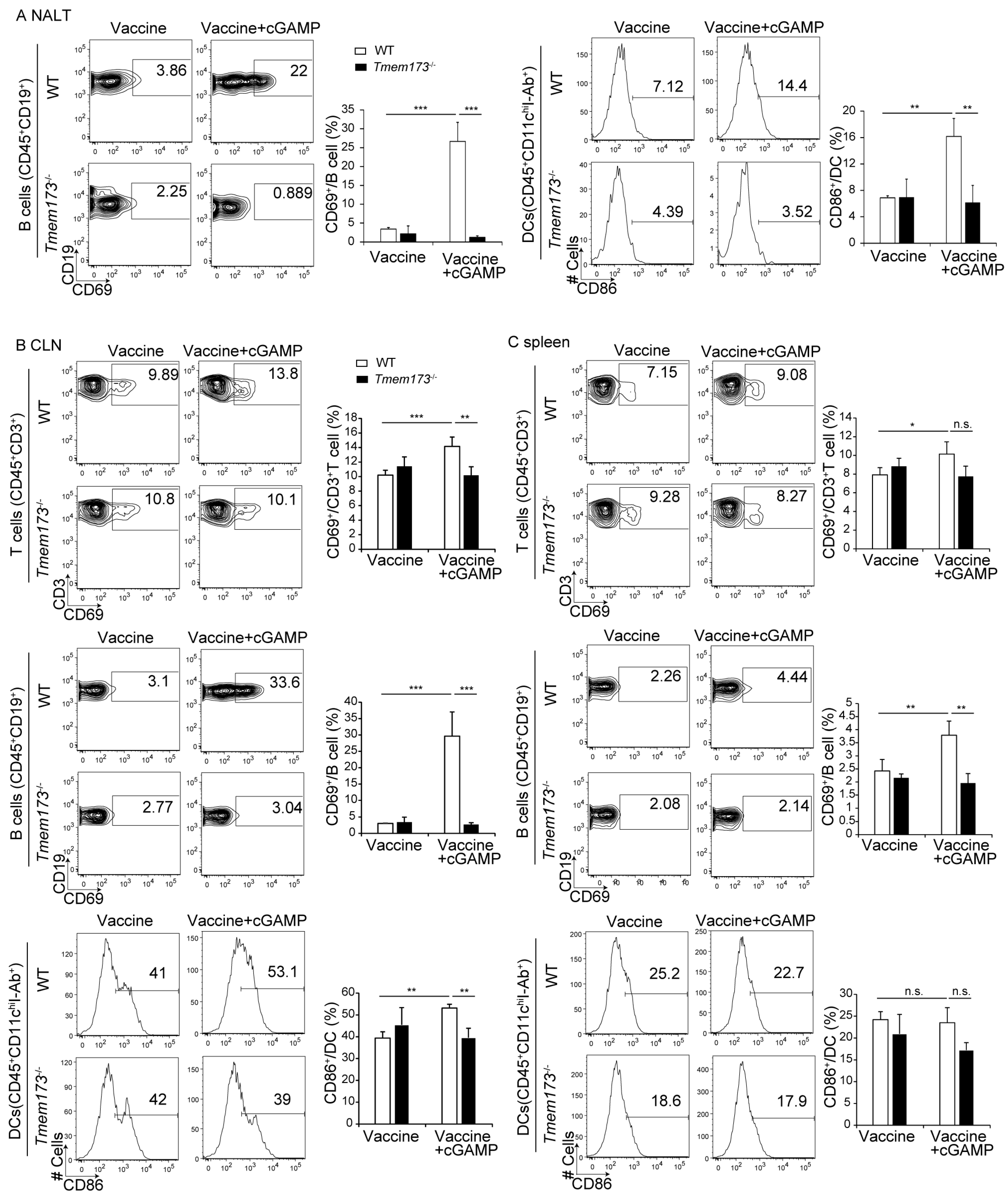 Medsci 05 00035 g005