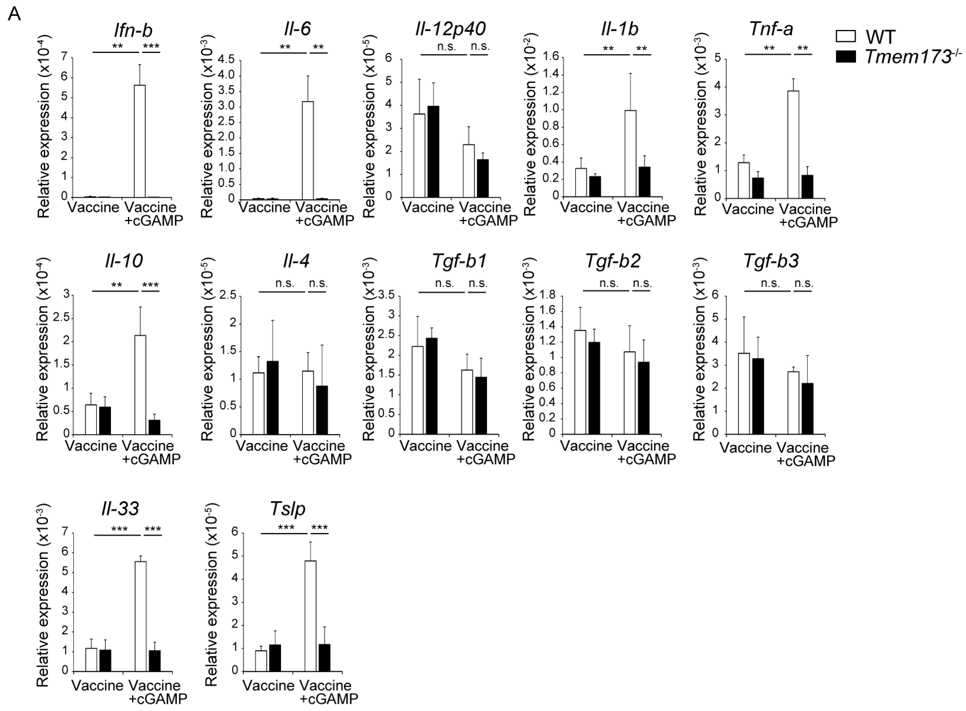 Medsci 05 00035 g006