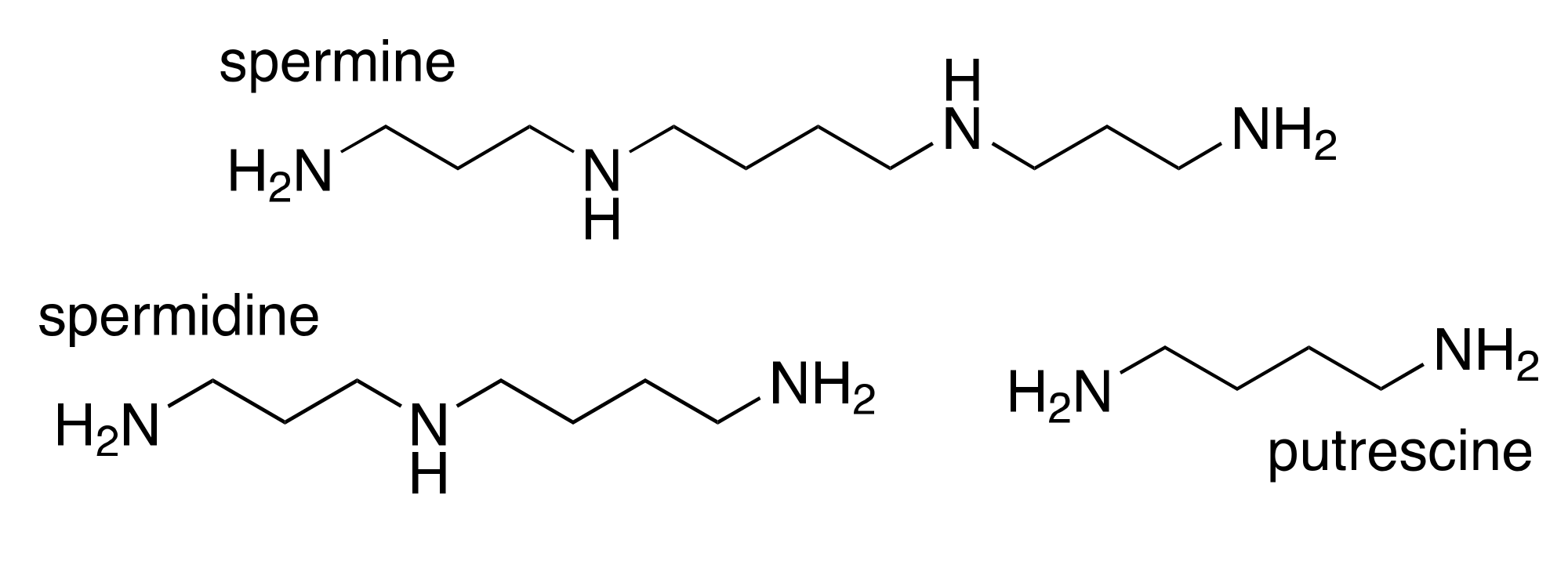 Medsci 05 00038 g001