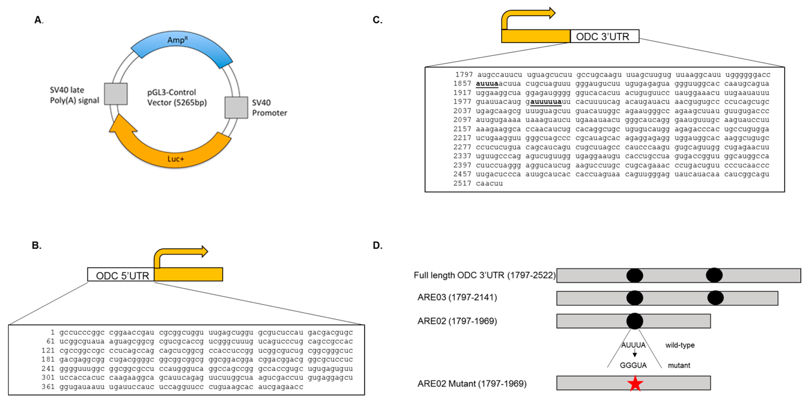Medsci 06 00002 g001