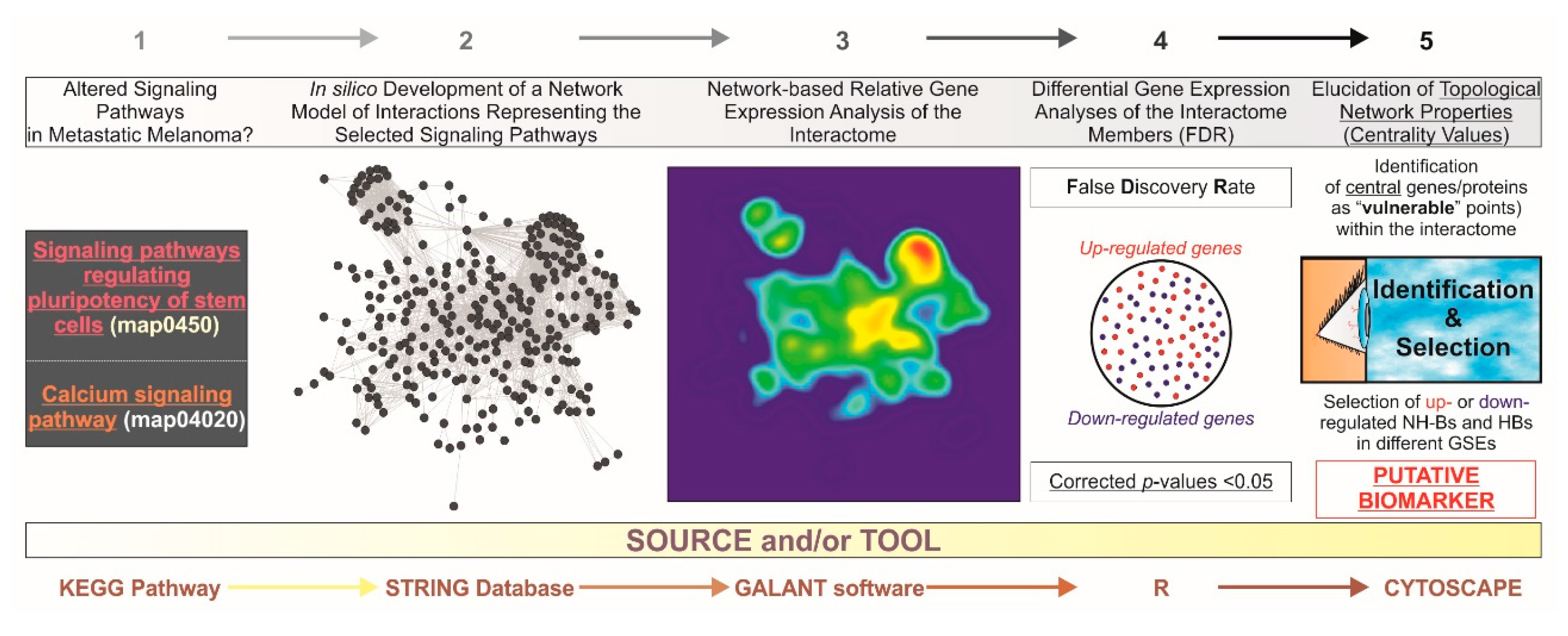 Medsci 06 00023 g001