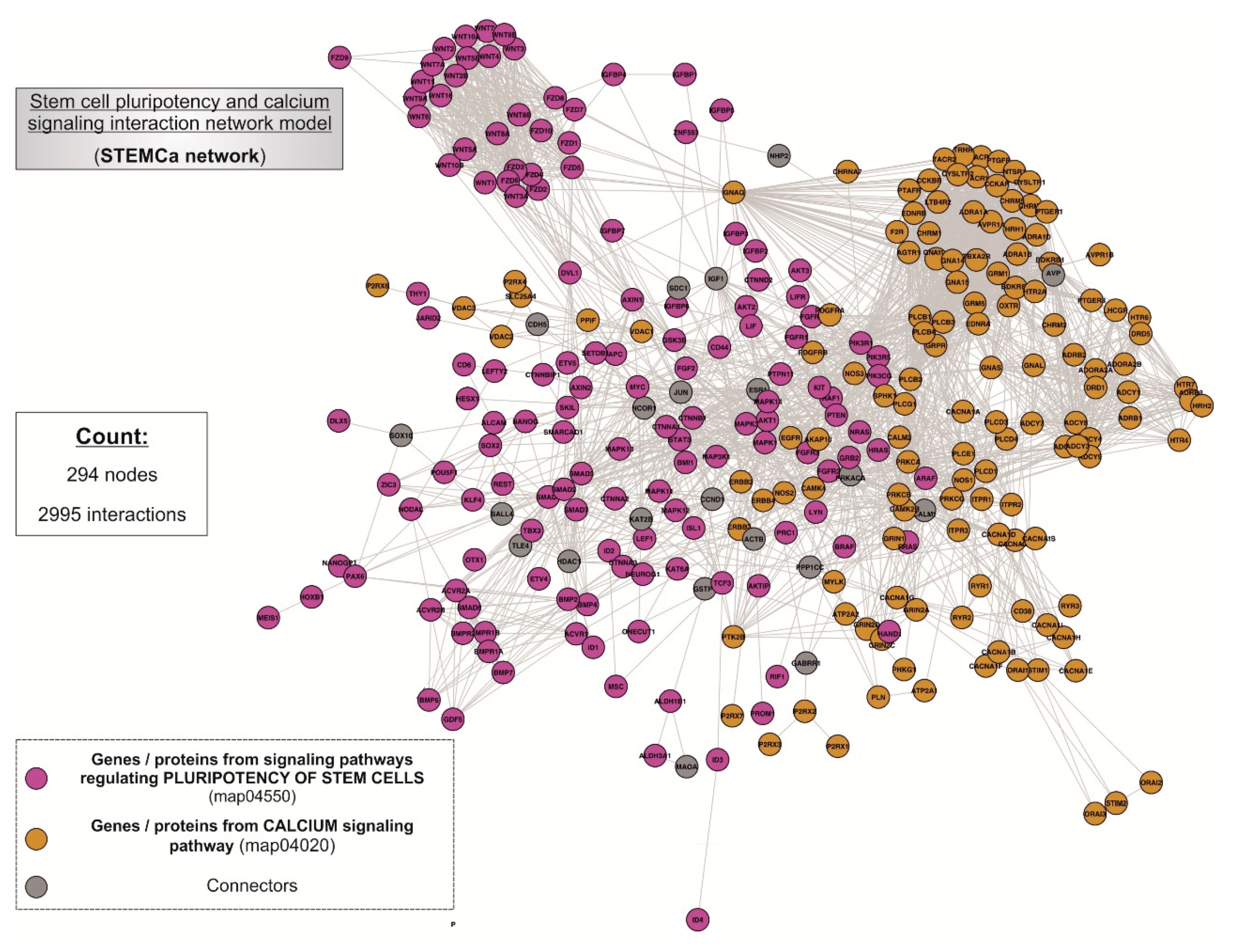 Medsci 06 00023 g002