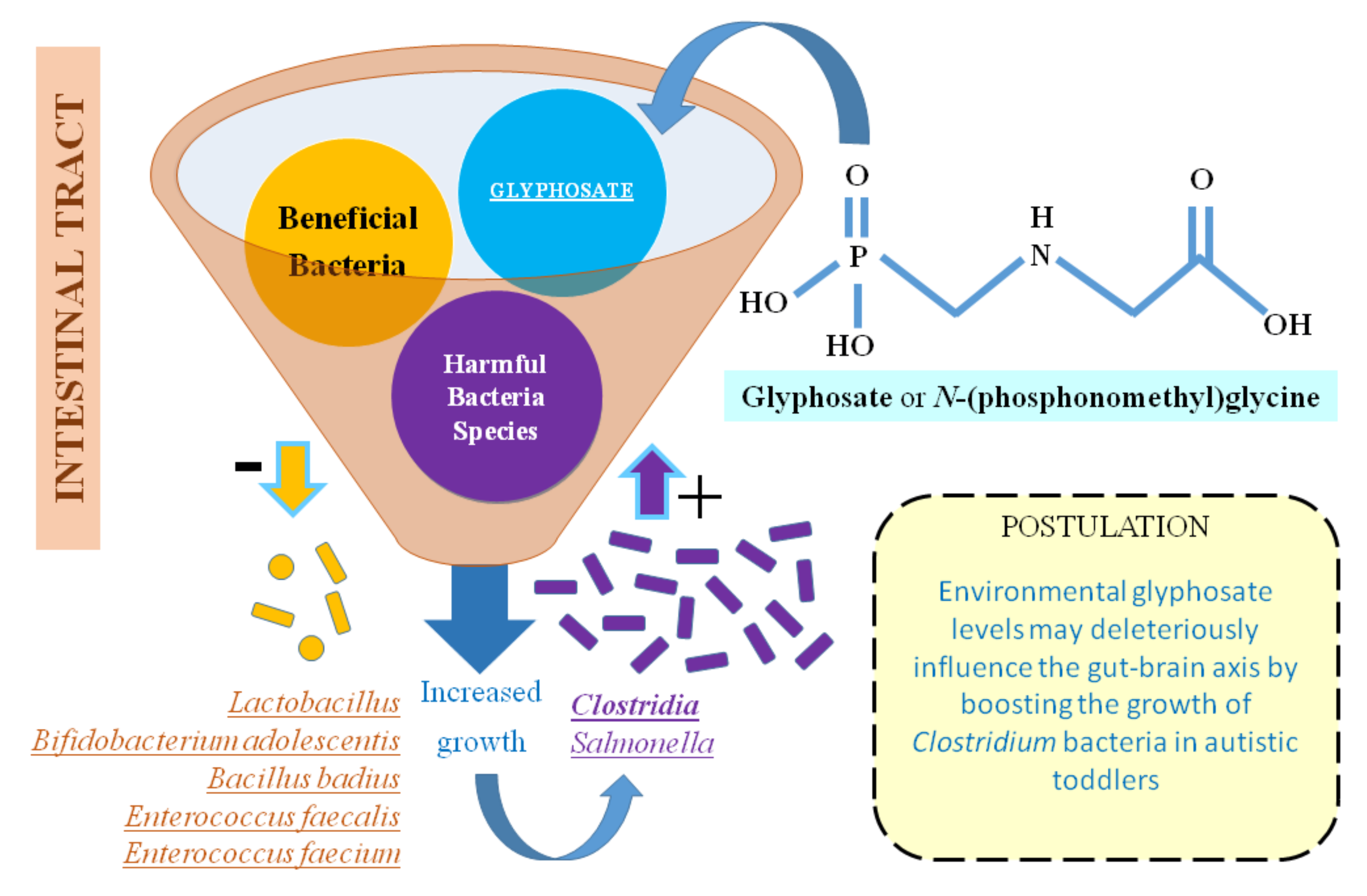 Medsci 06 00029 g002
