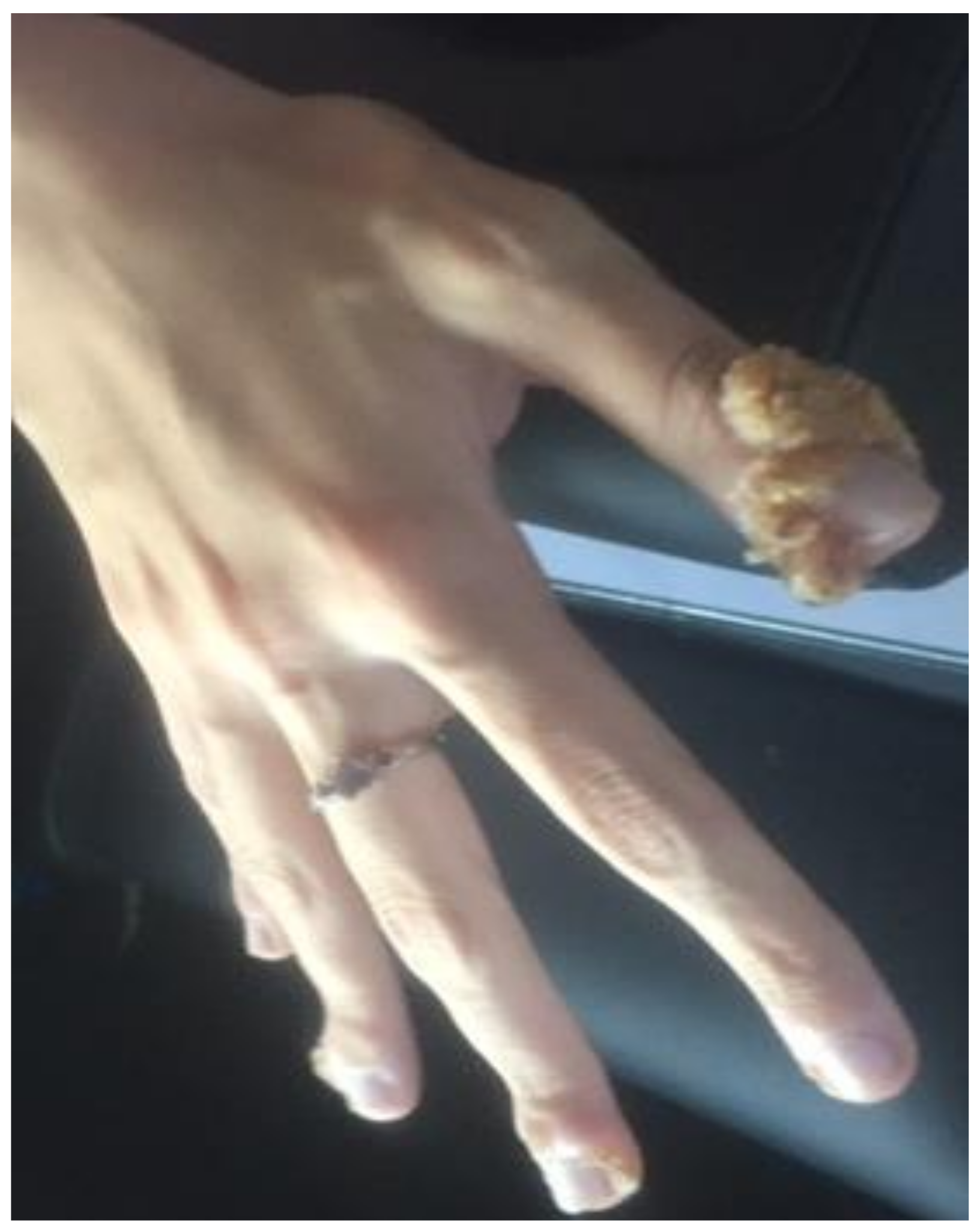 Medsci 06 00030 g001 Medsci 06 00030 g001