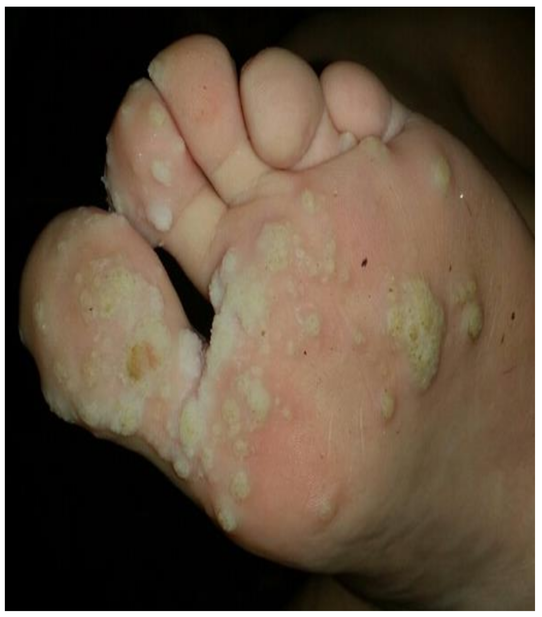 Medsci 06 00030 g002 Medsci 06 00030 g002