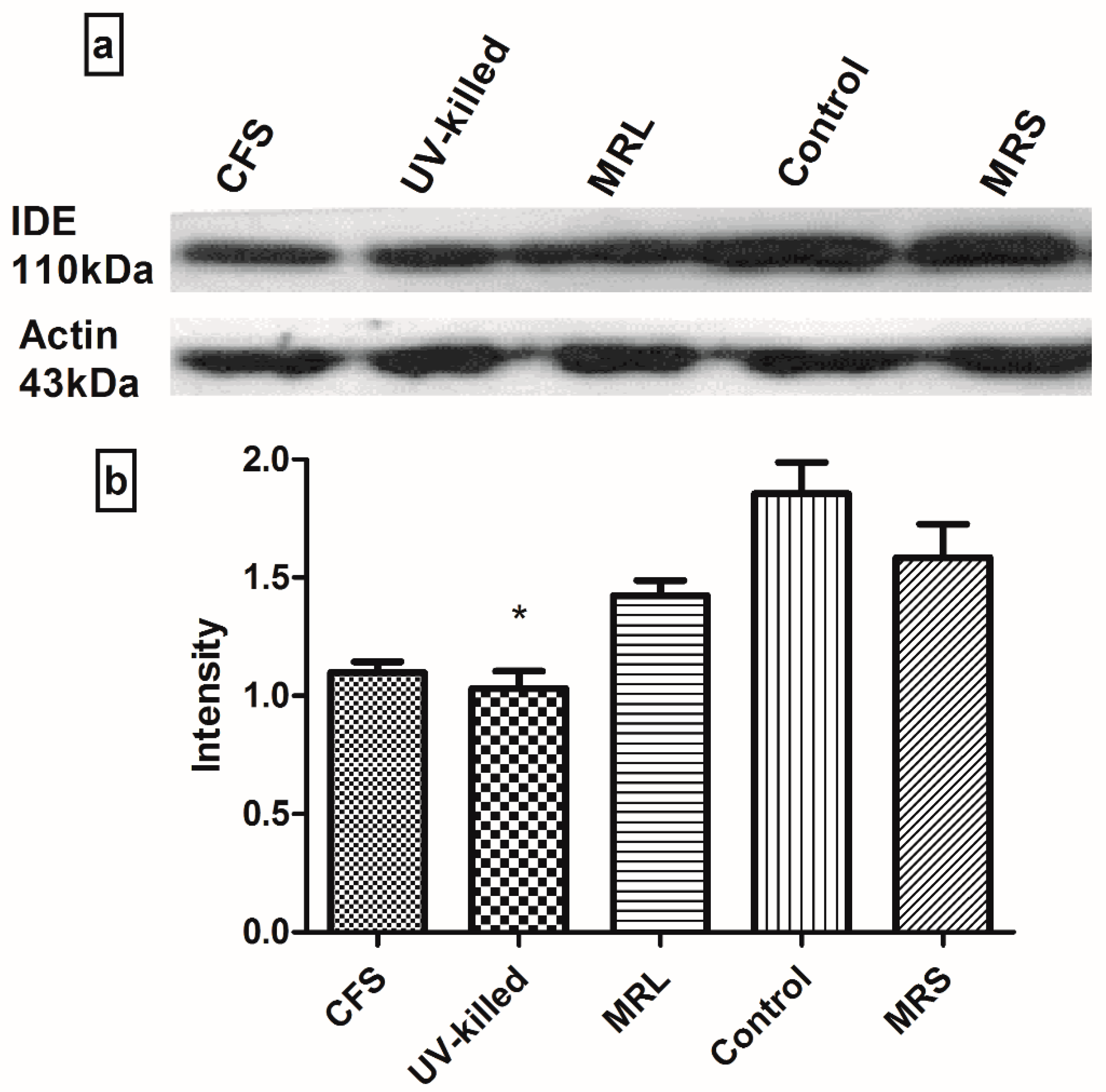 Medsci 06 00036 g002