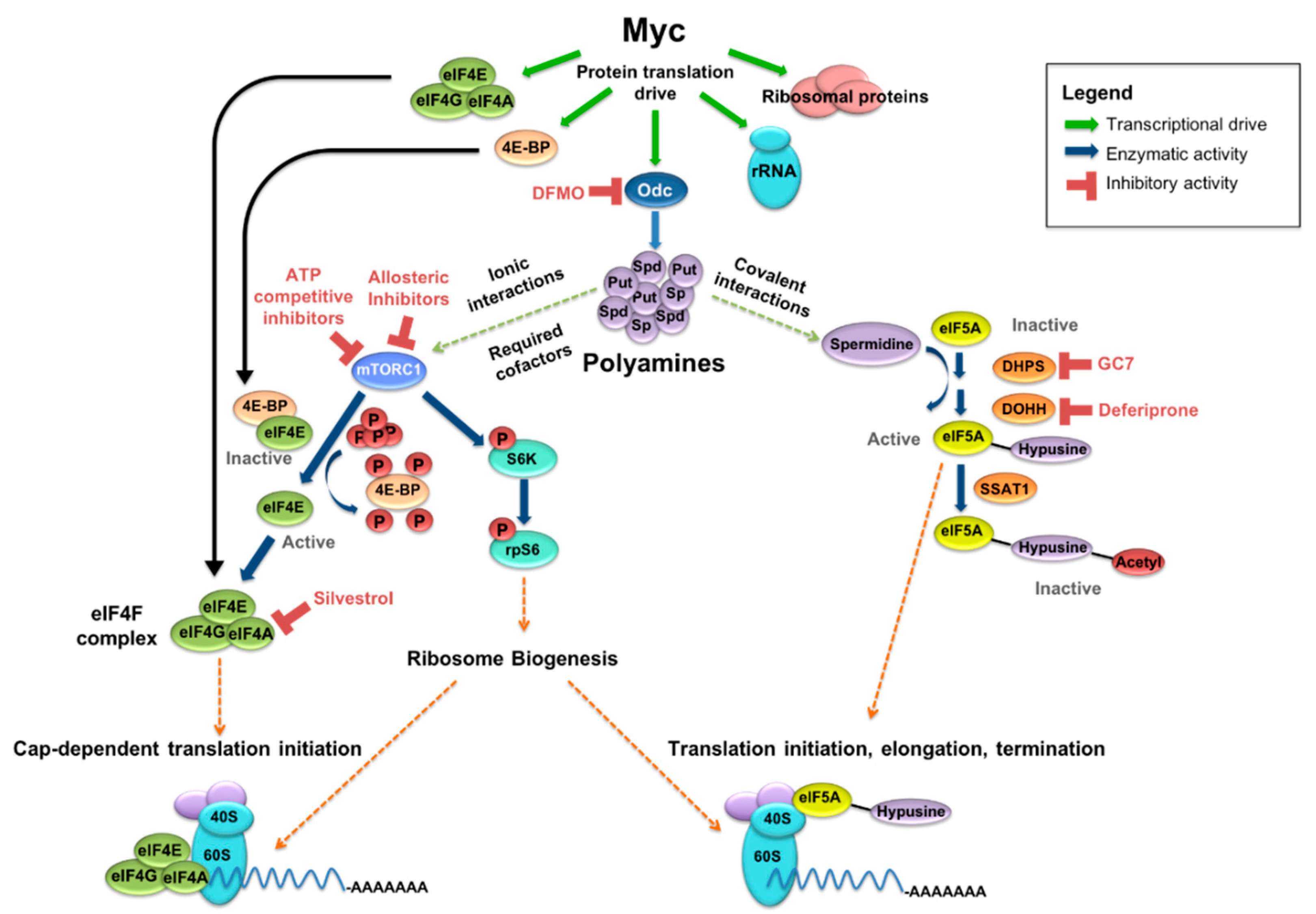Medsci 06 00041 g001 Medsci 06 00041 g001