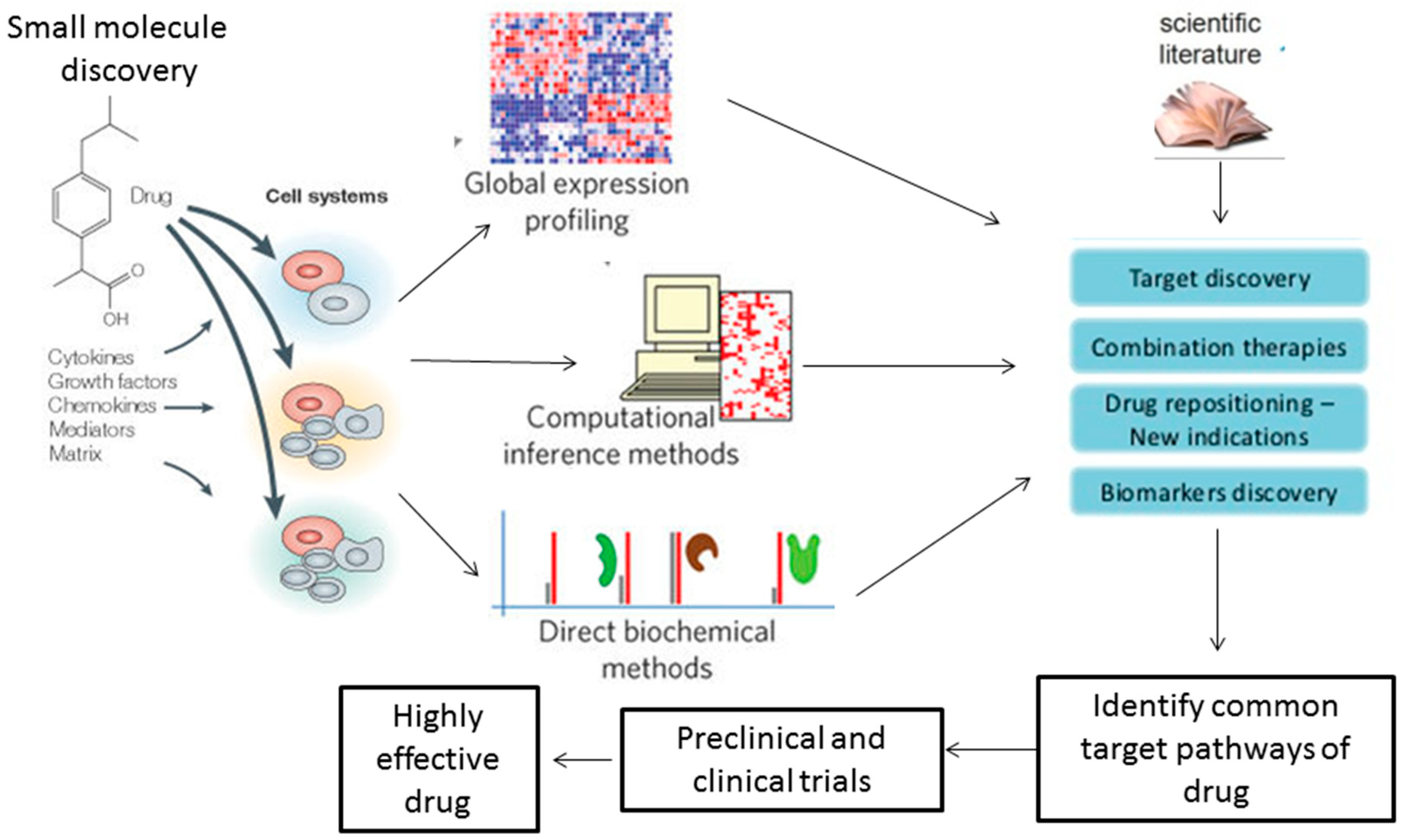 Medsci 06 00043 g001 Medsci 06 00043 g001