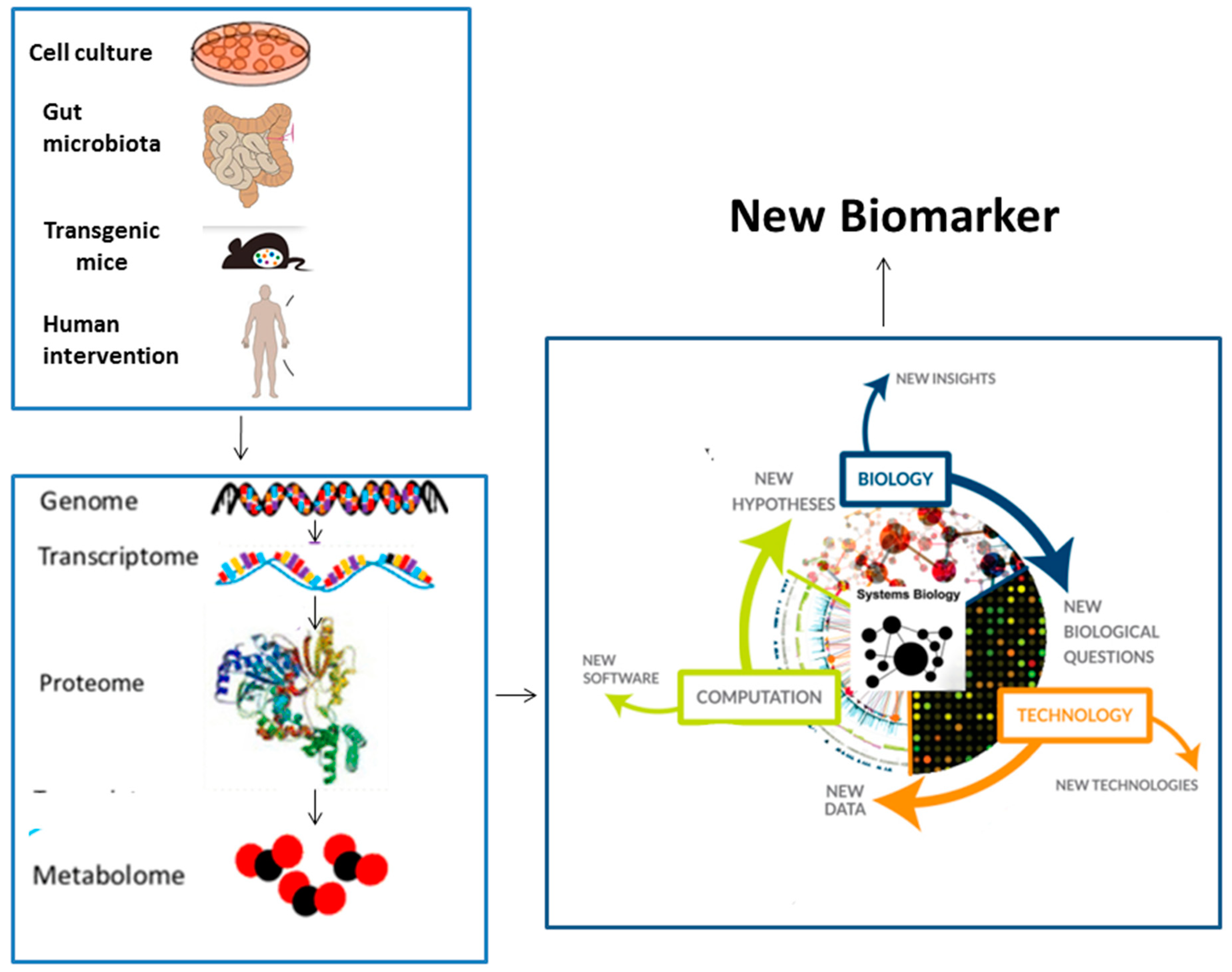 Medsci 06 00043 g002 Medsci 06 00043 g002