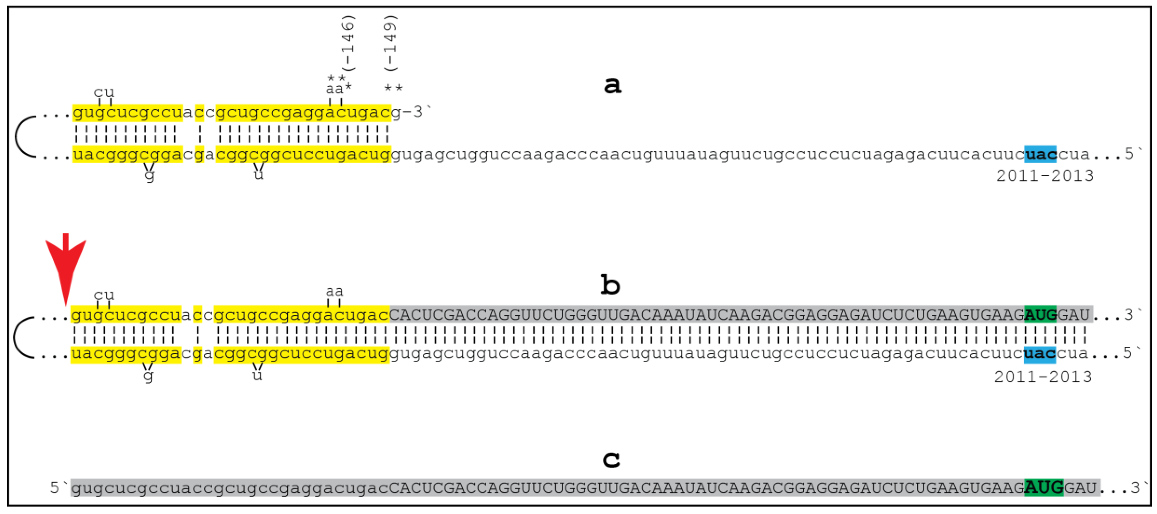 Medsci 06 00045 g002