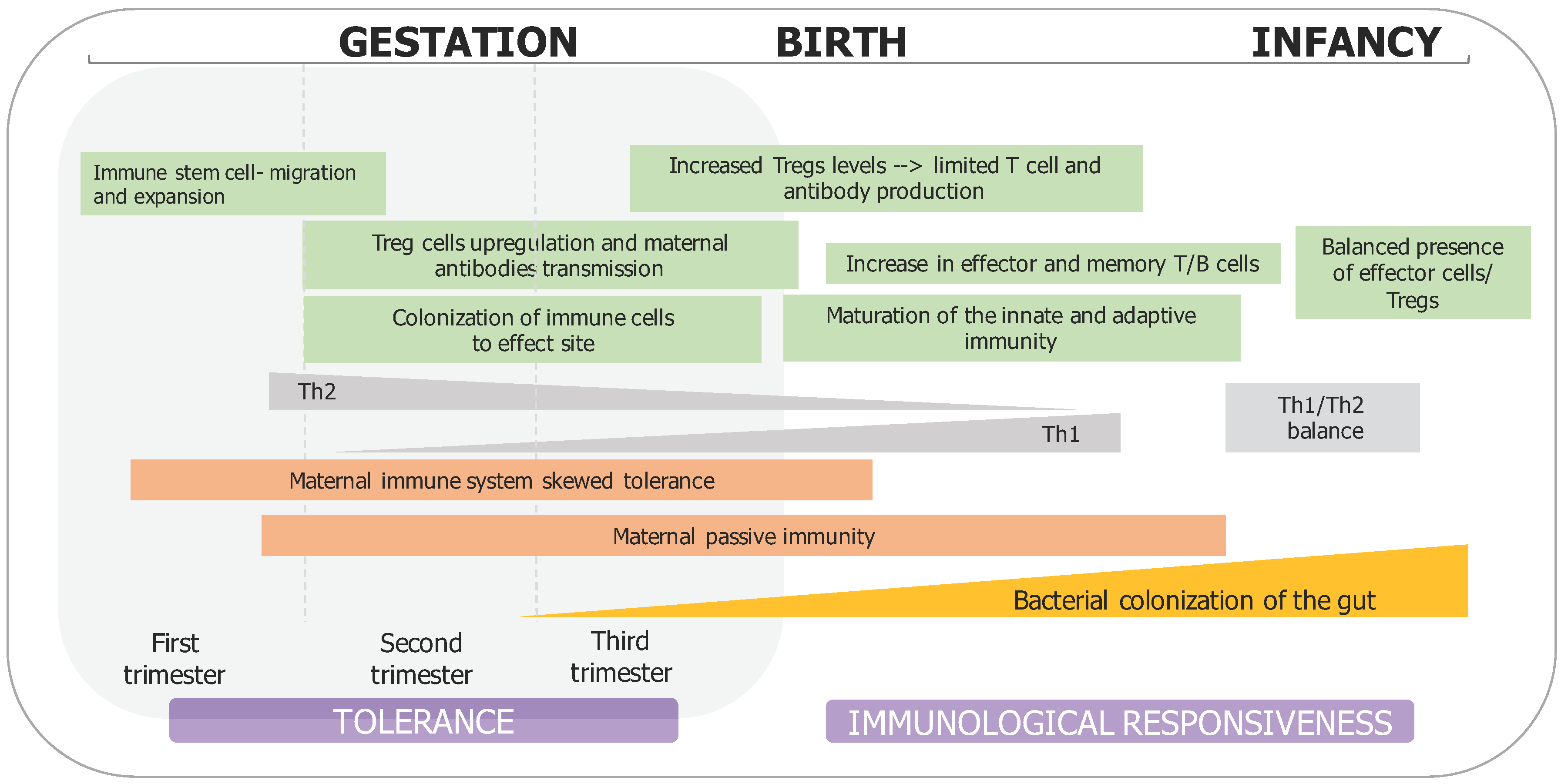 Medsci 06 00056 g001 Medsci 06 00056 g001