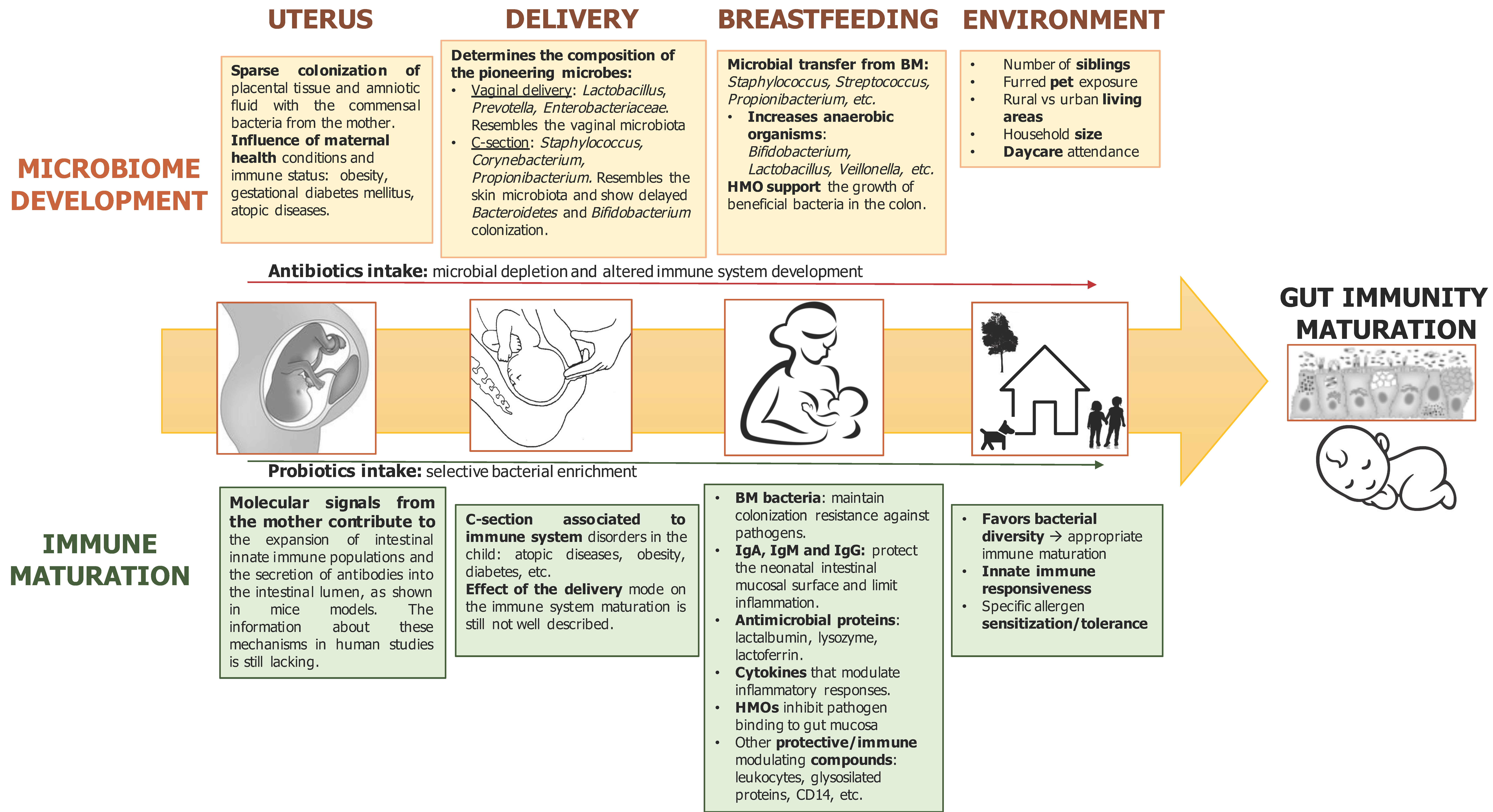 Medsci 06 00056 g003 Medsci 06 00056 g003