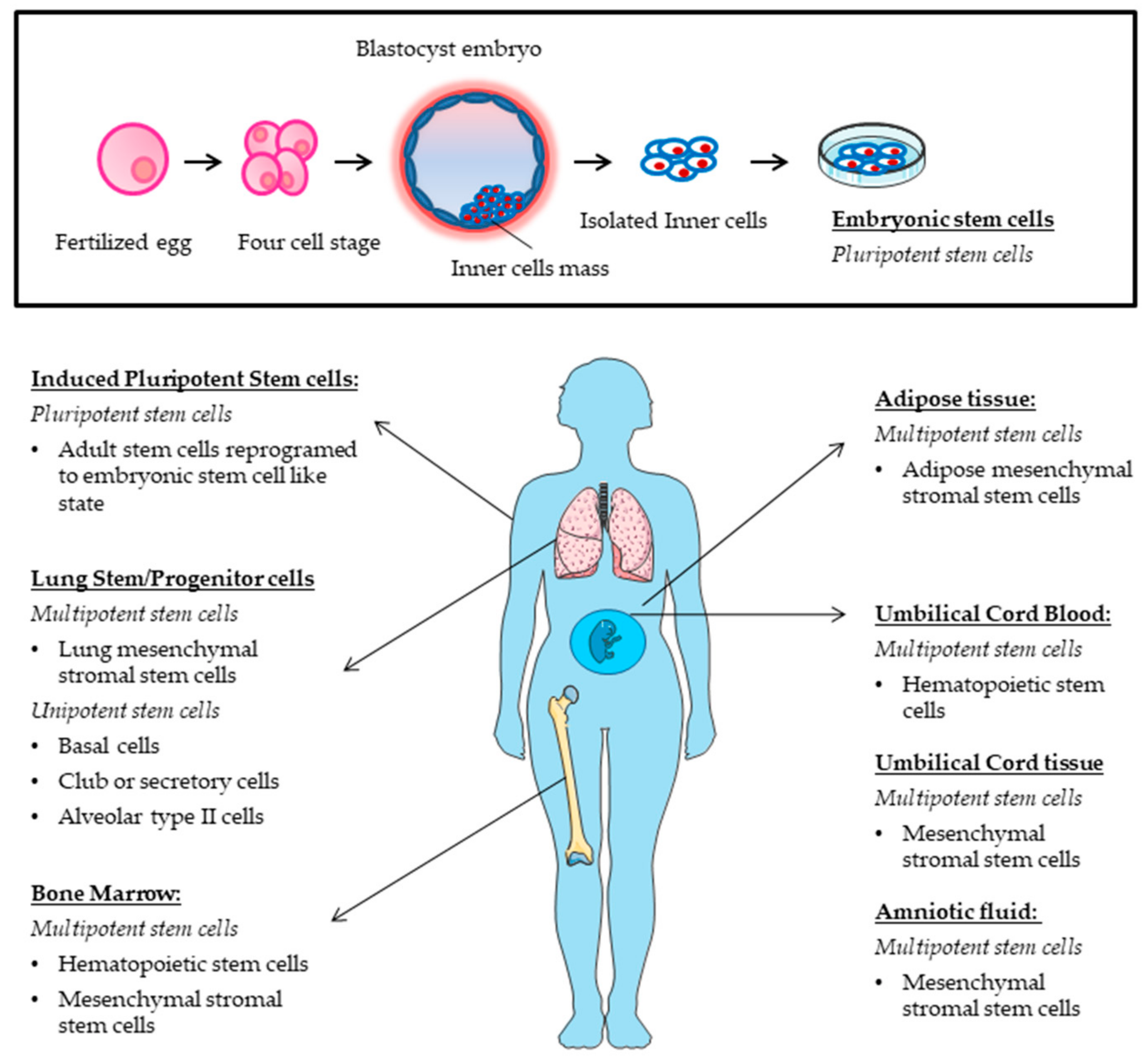 Medsci 06 00064 g002