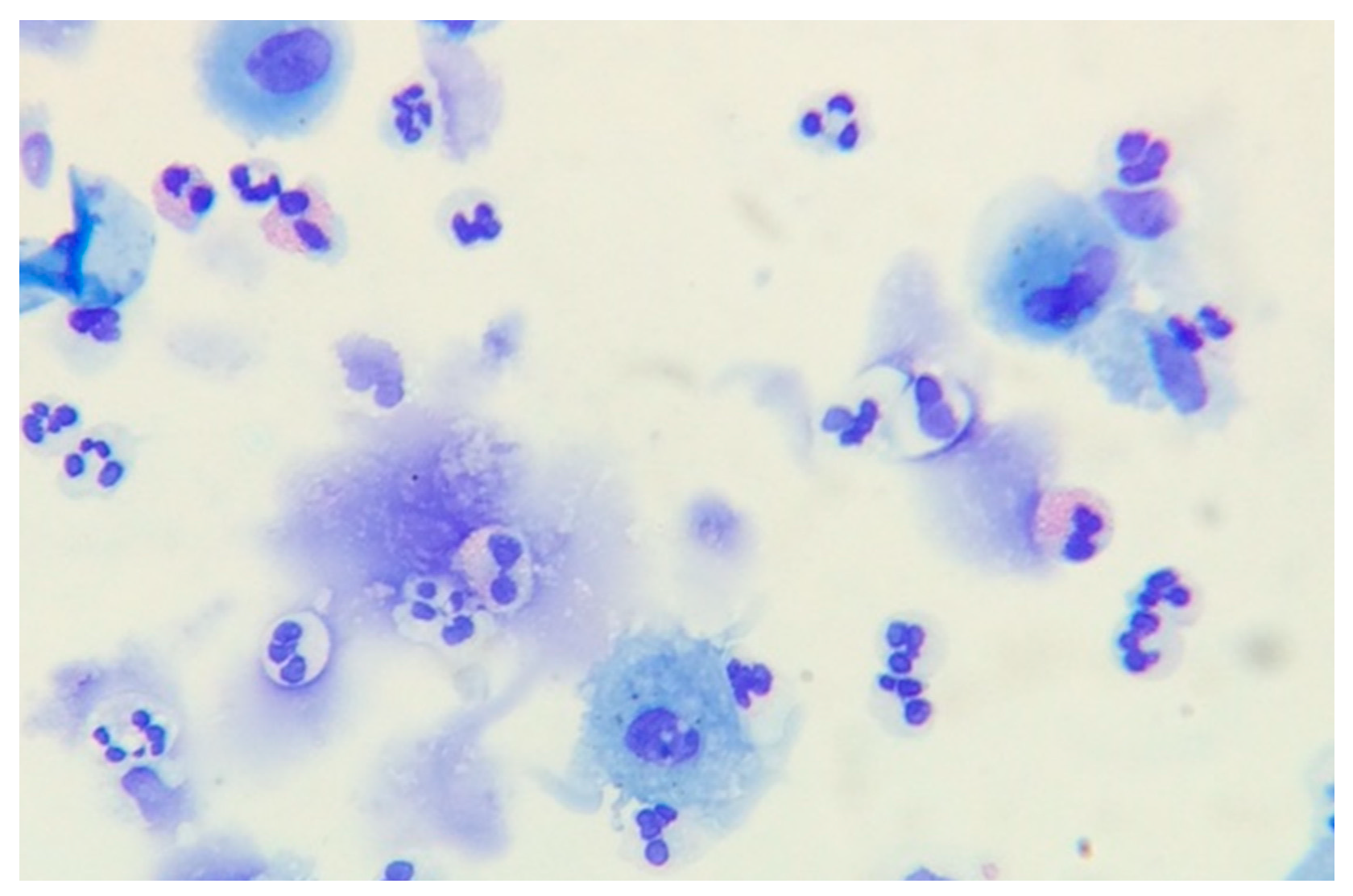 Medsci 06 00074 g001