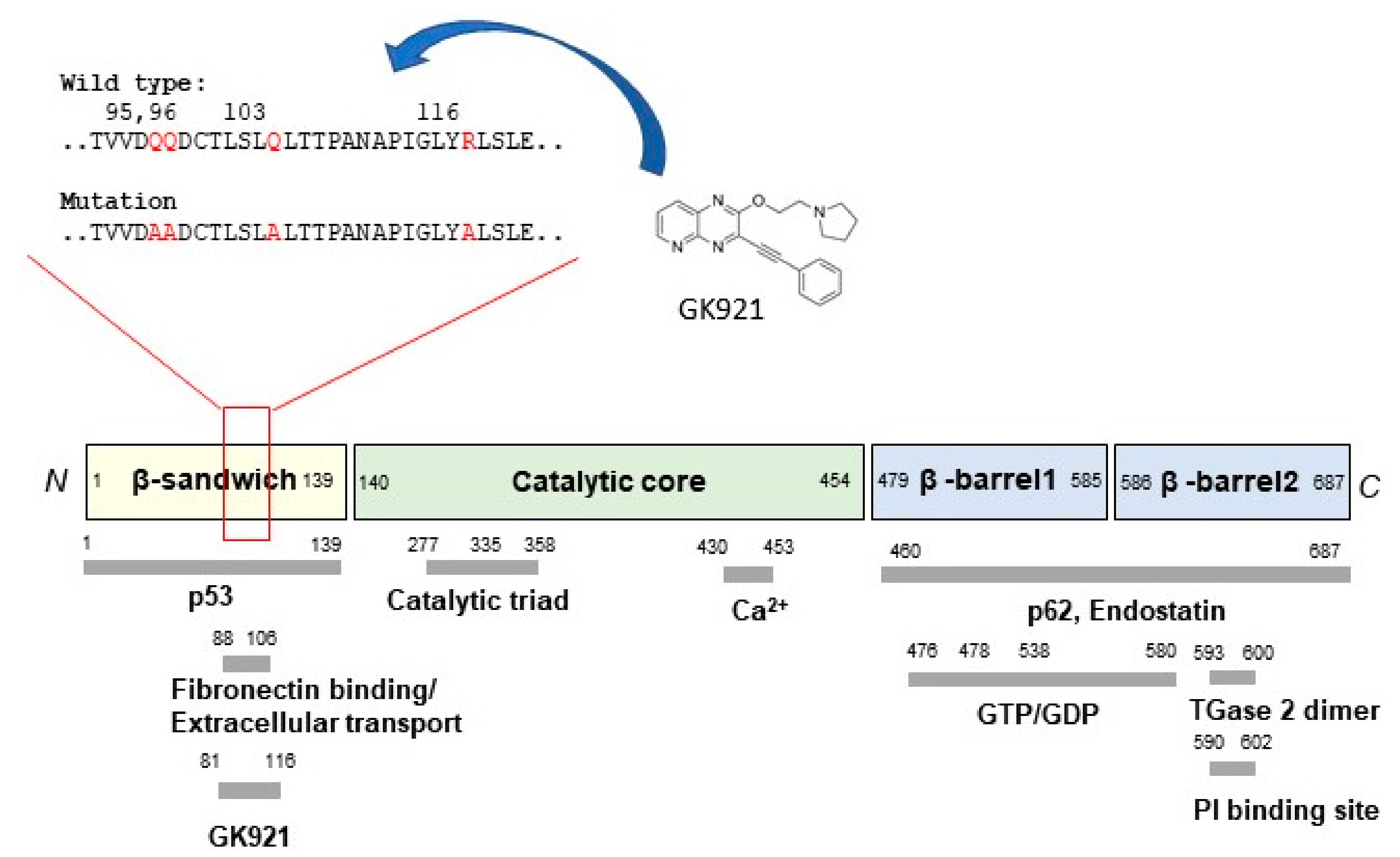 Medsci 06 00087 g001
