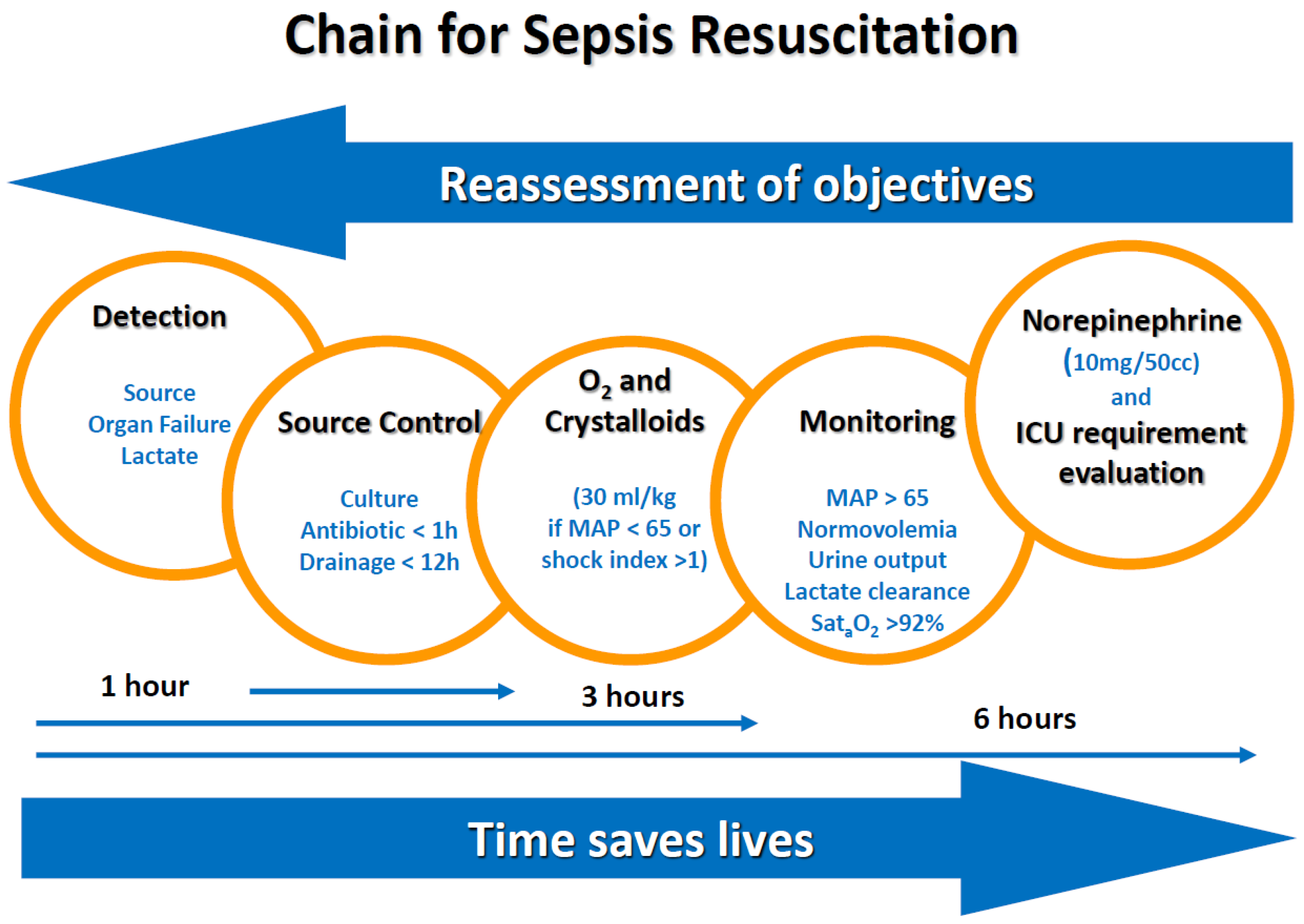 Medsci 06 00091 g001