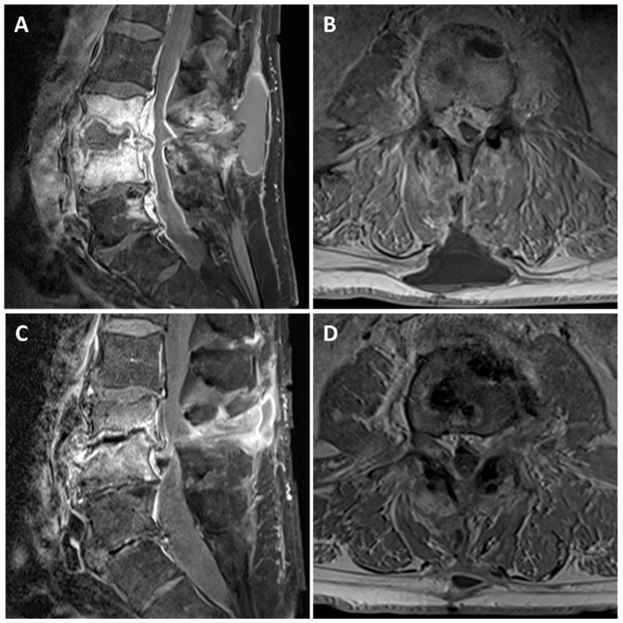 Medsci 06 00096 g001