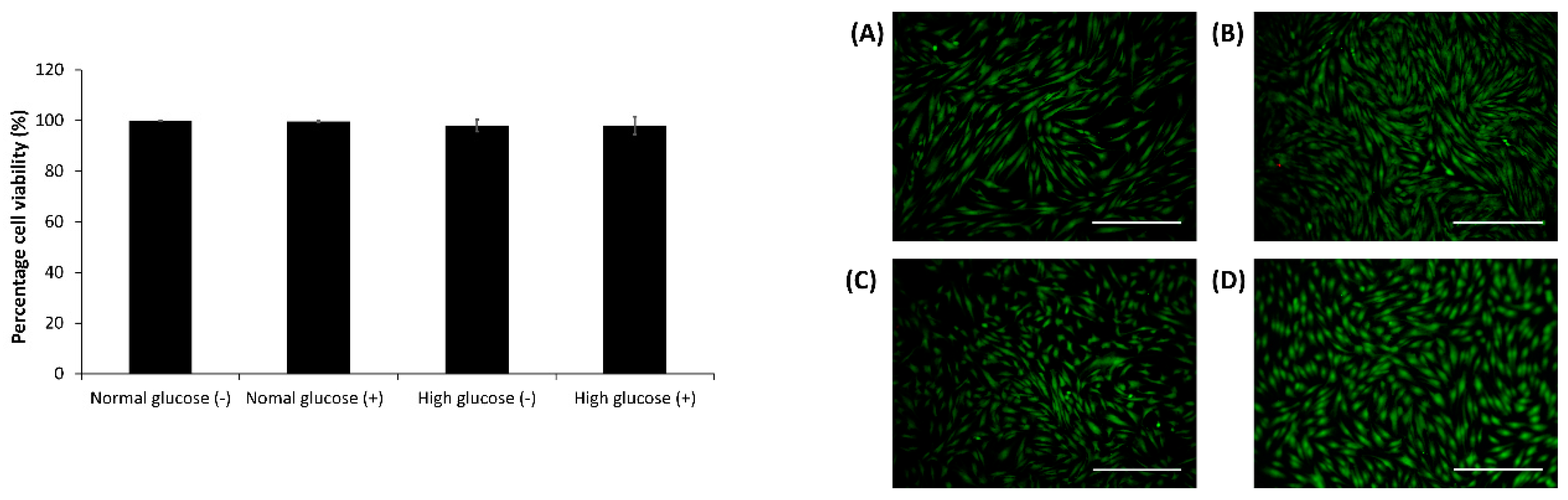 Medsci 06 00099 g002 Medsci 06 00099 g002