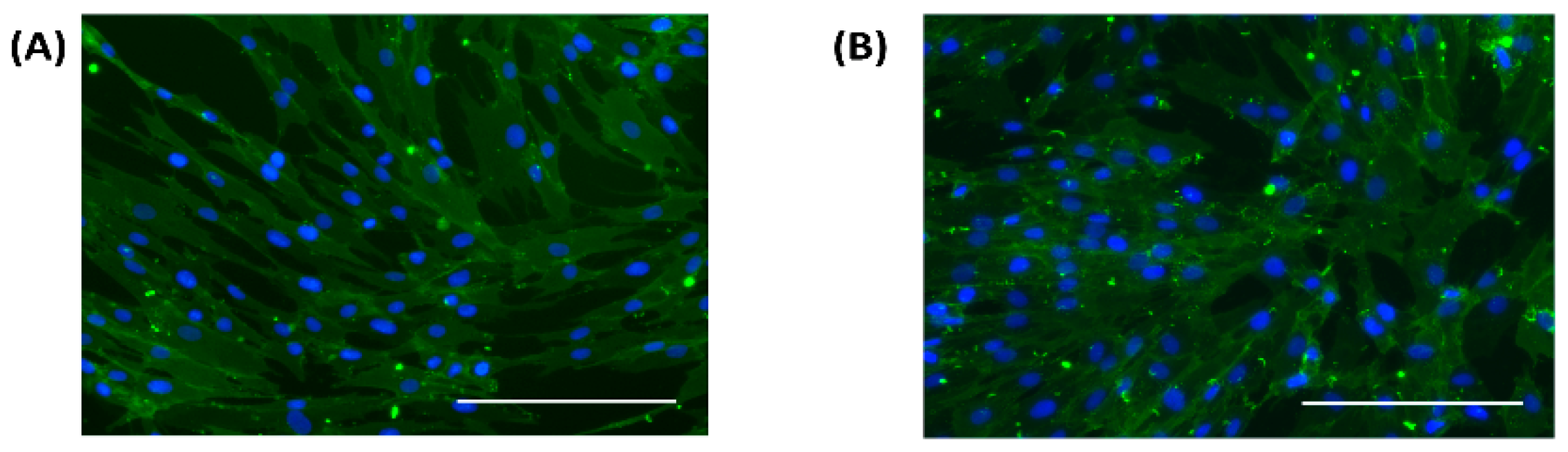Medsci 06 00099 g004 Medsci 06 00099 g004