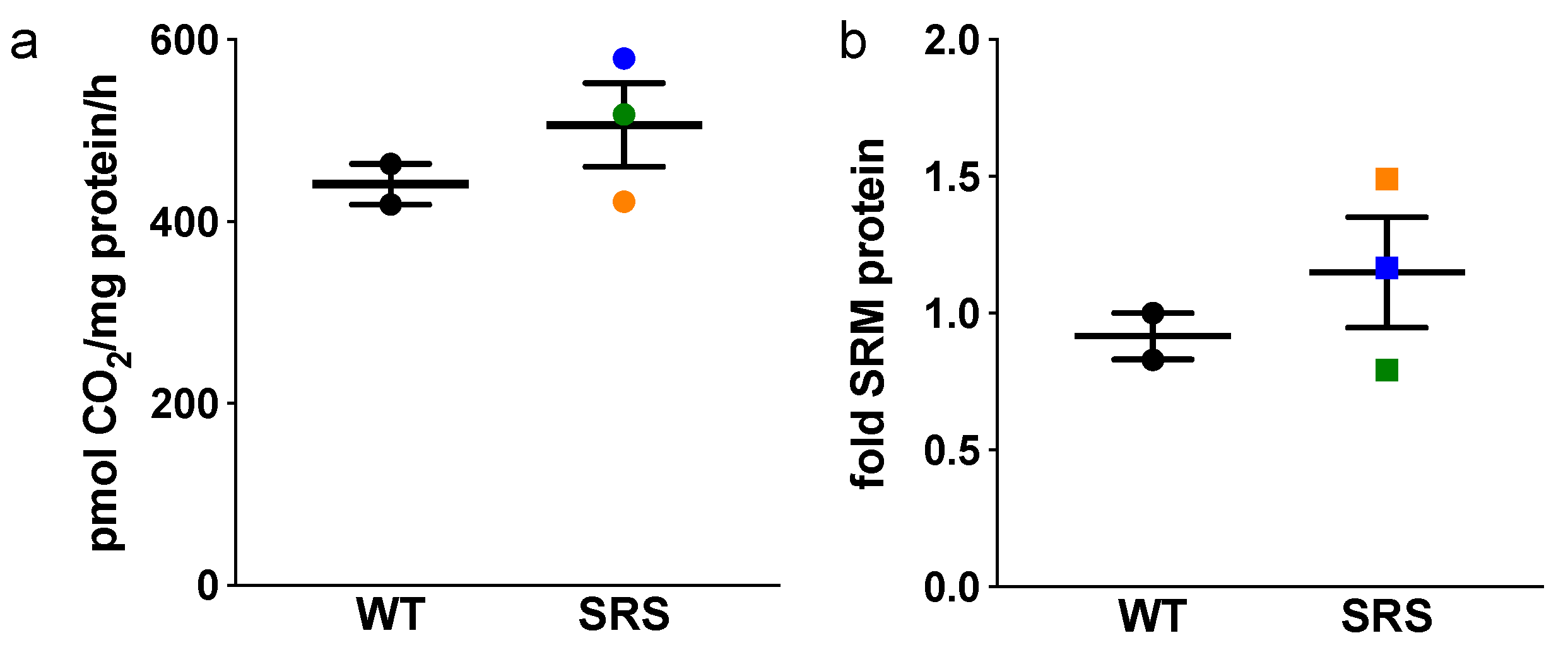 Medsci 06 00112 g004