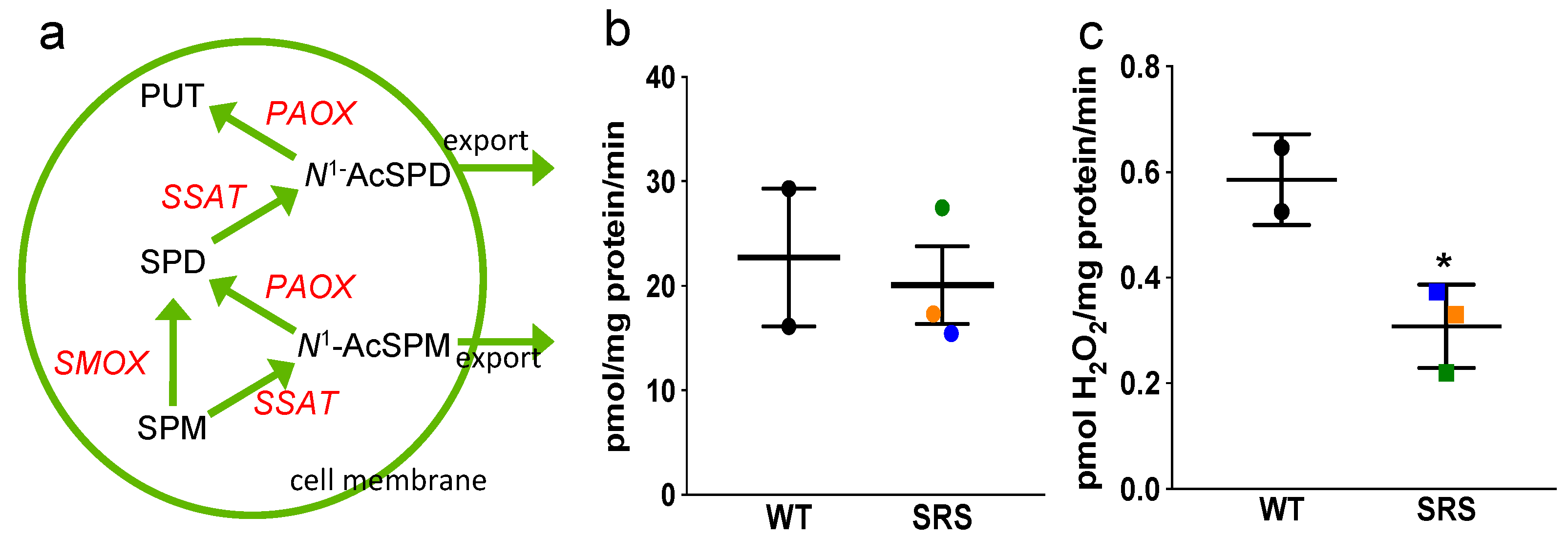 Medsci 06 00112 g005