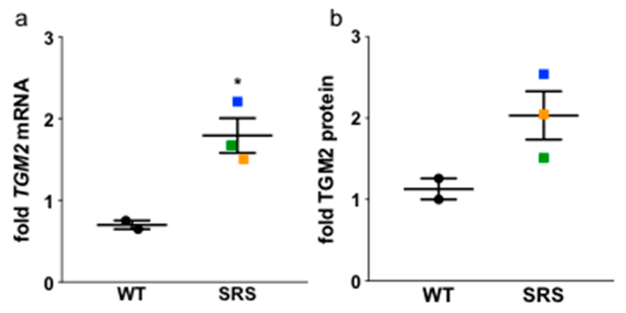 Medsci 06 00112 g008