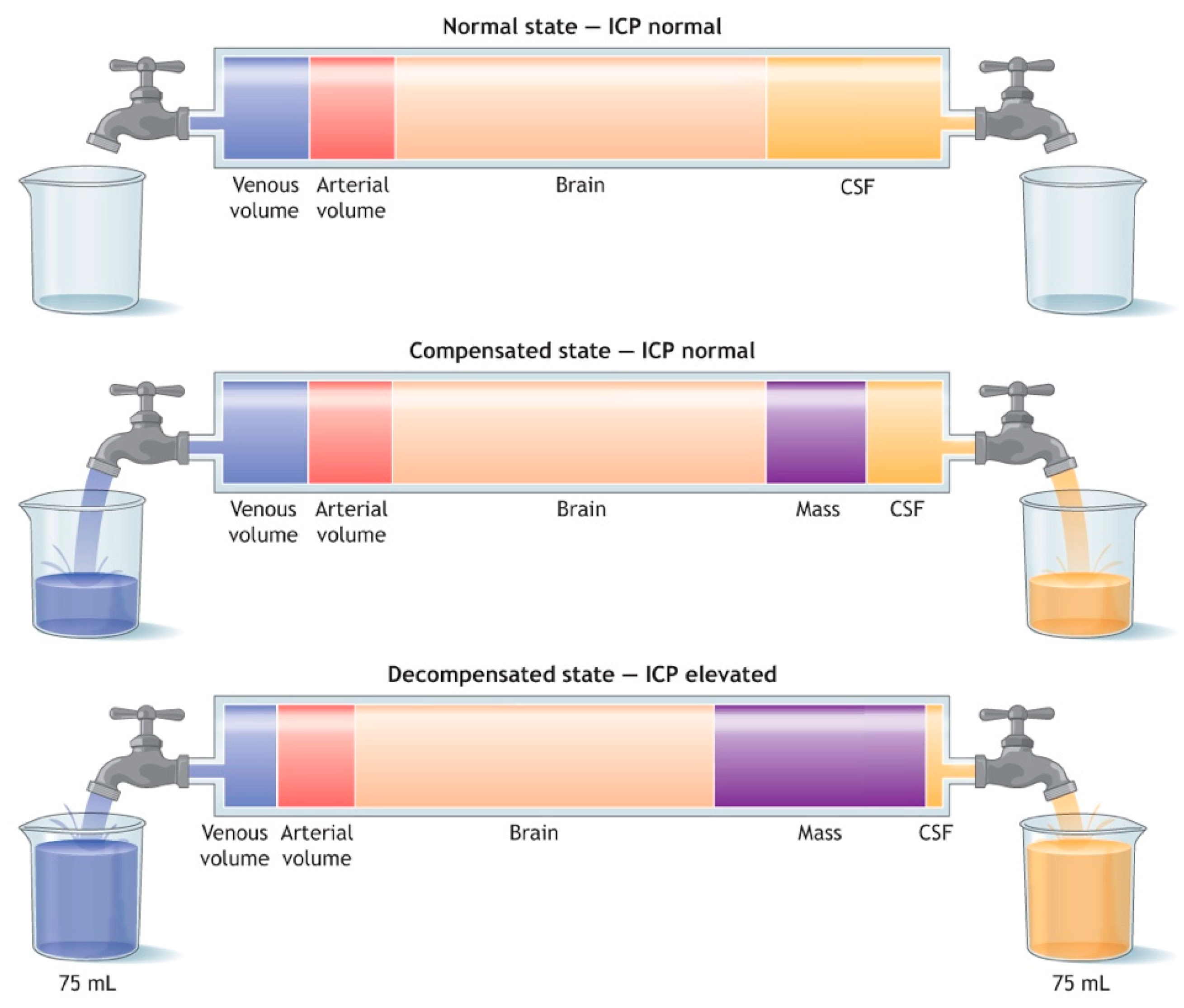 Medsci 07 00002 g003