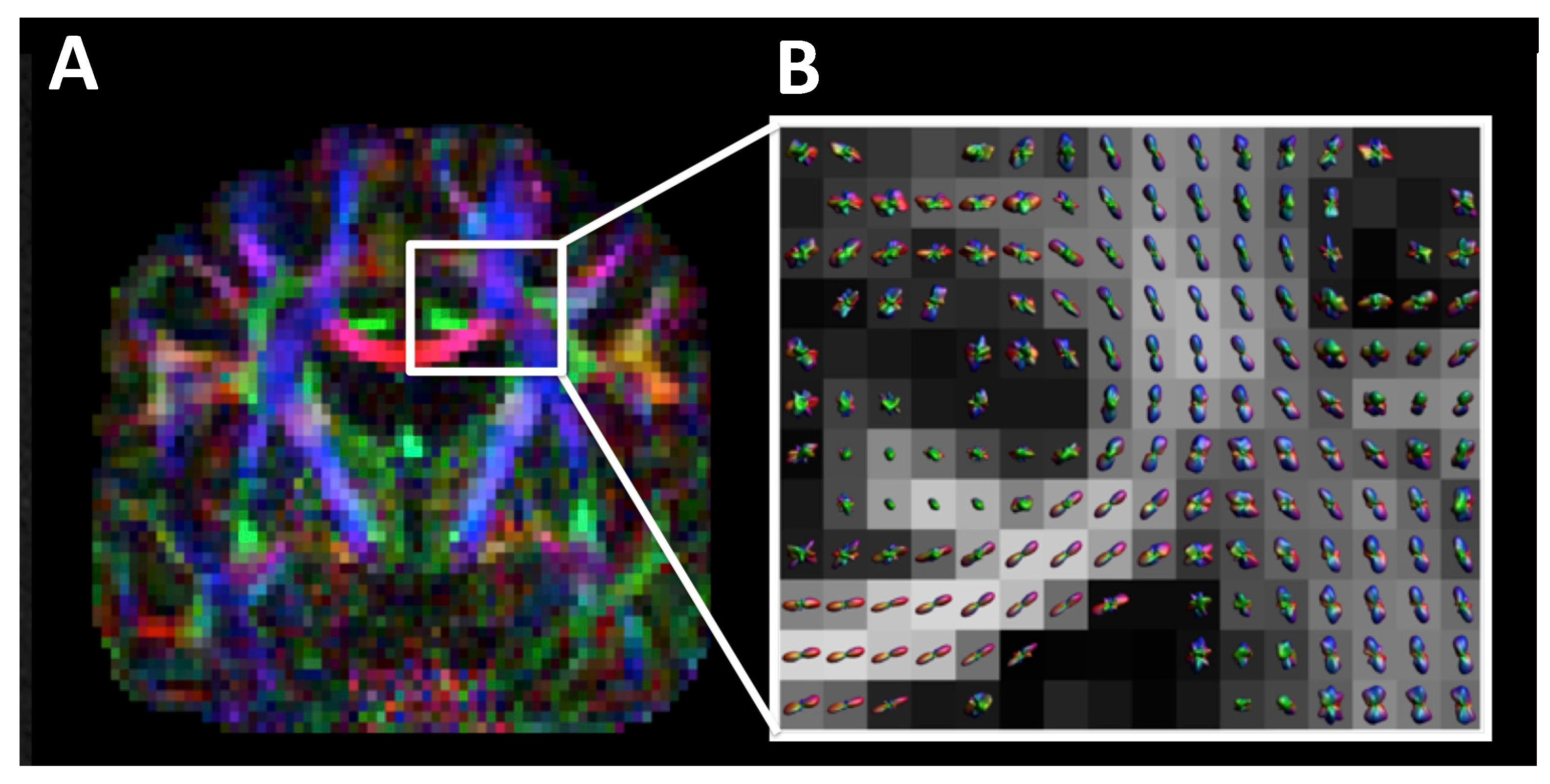 Medsci 07 00002 g010