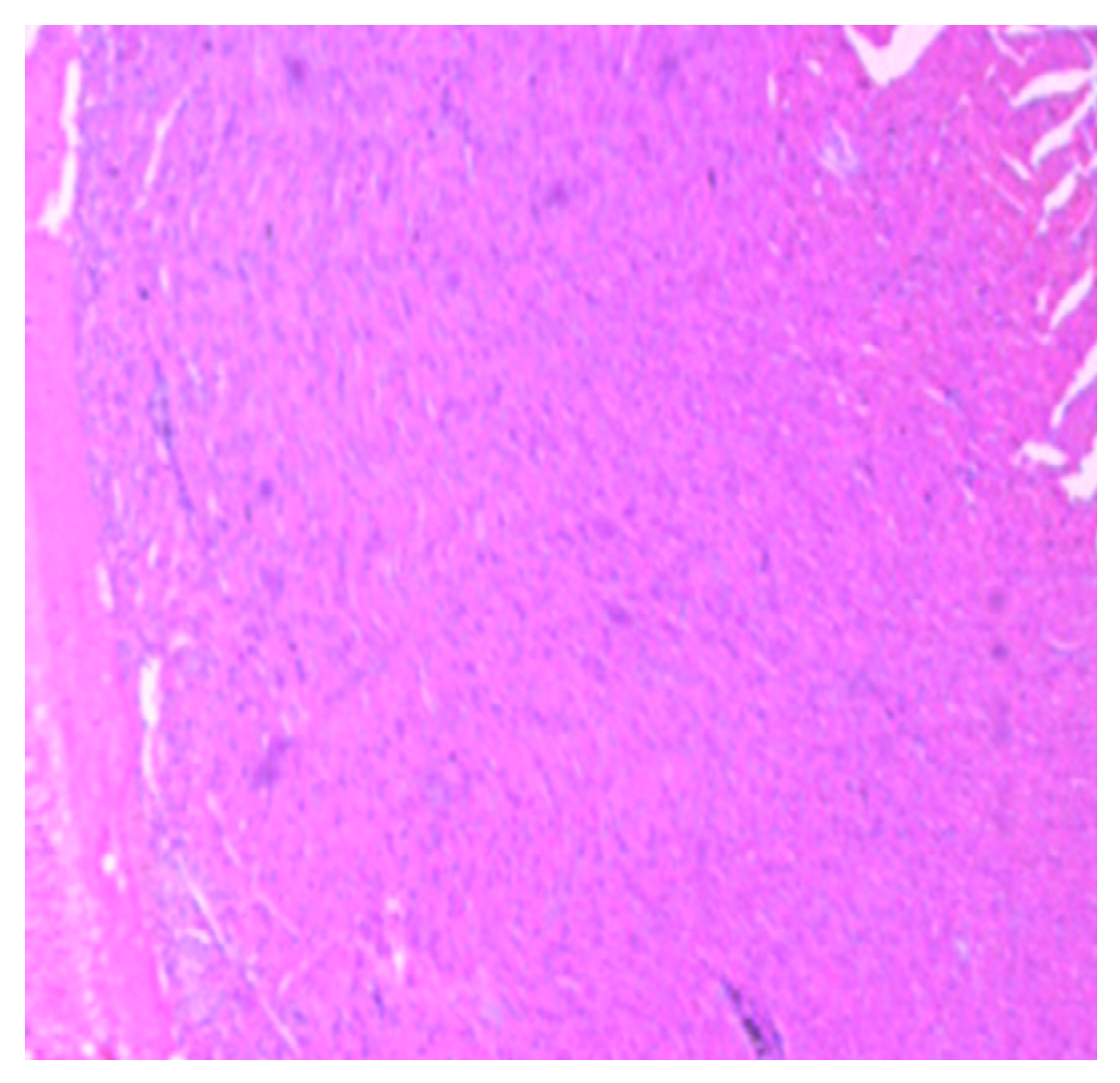 Medsci 07 00013 g013