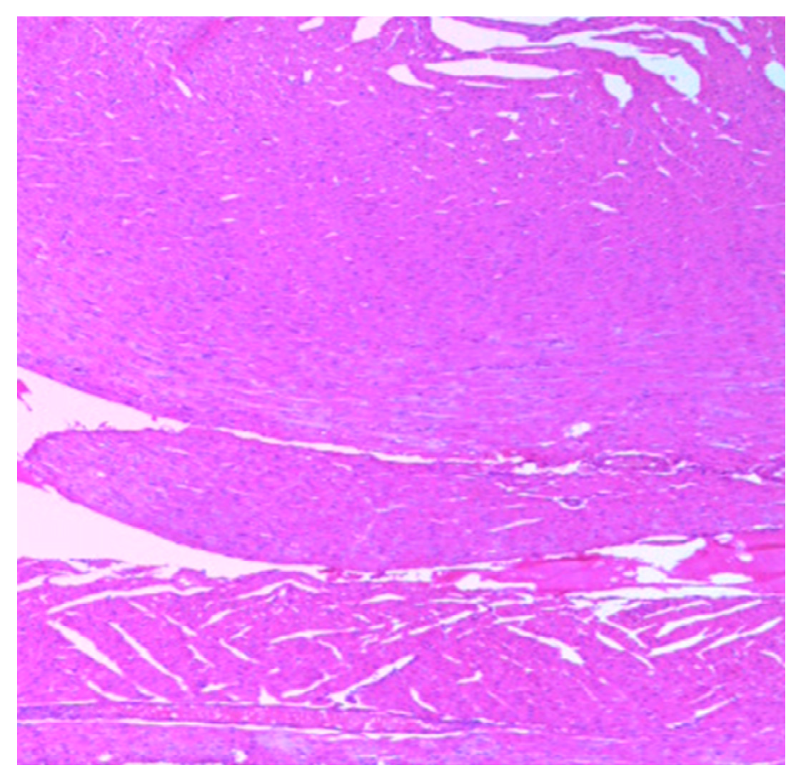 Medsci 07 00013 g014