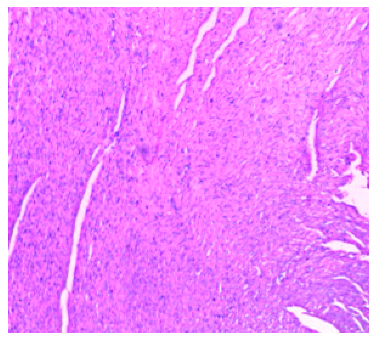 Medsci 07 00013 g015