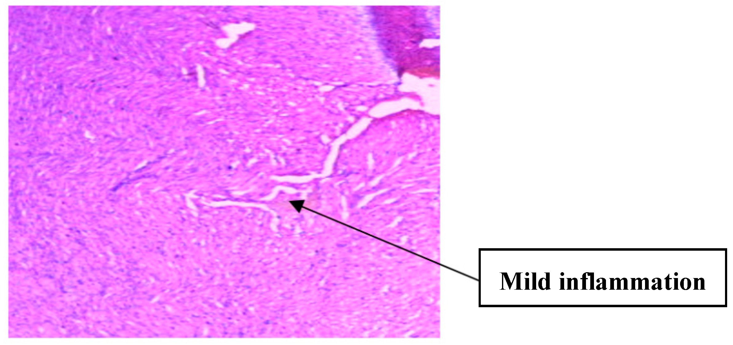 Medsci 07 00013 g016