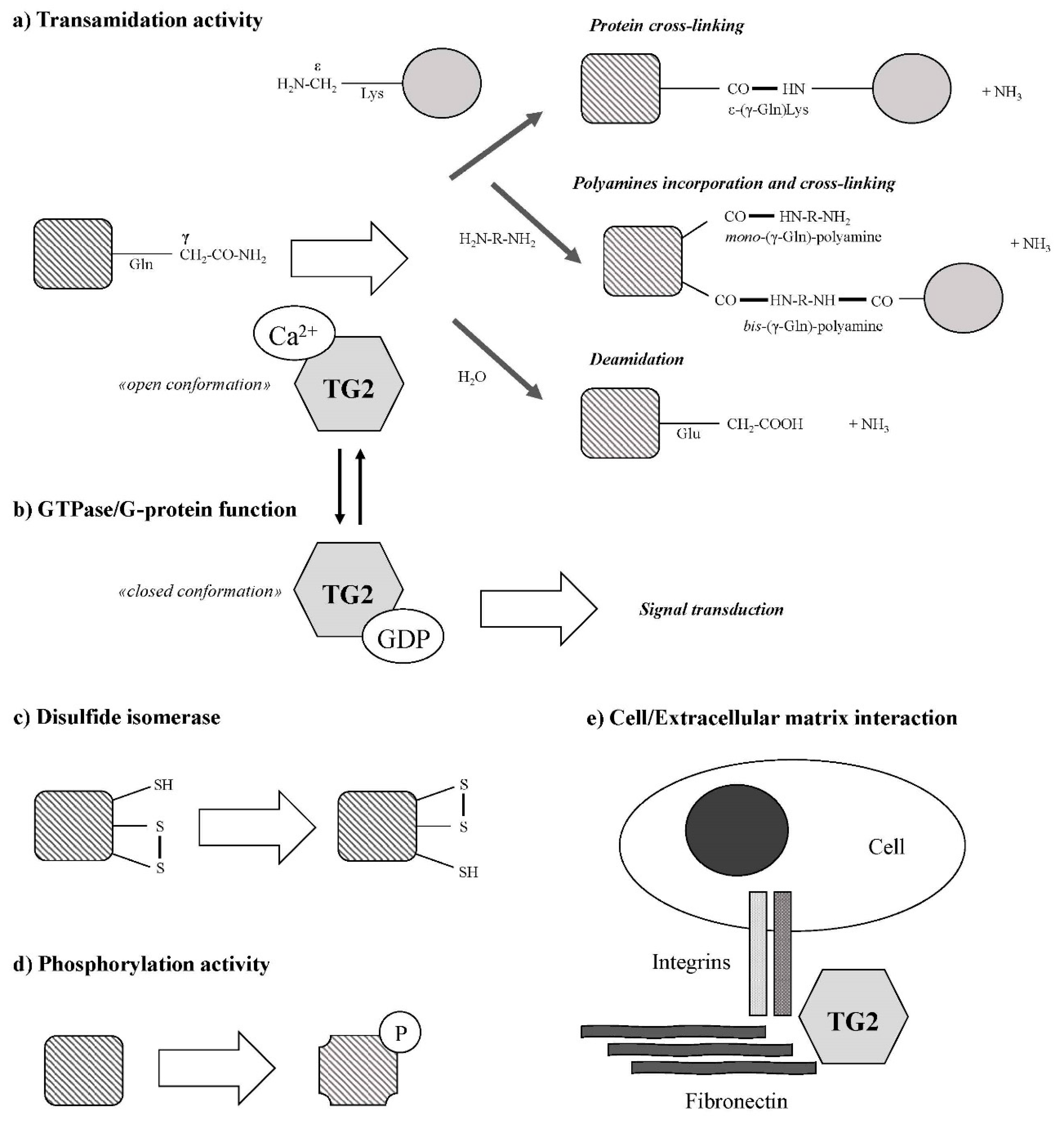 Medsci 07 00019 g001