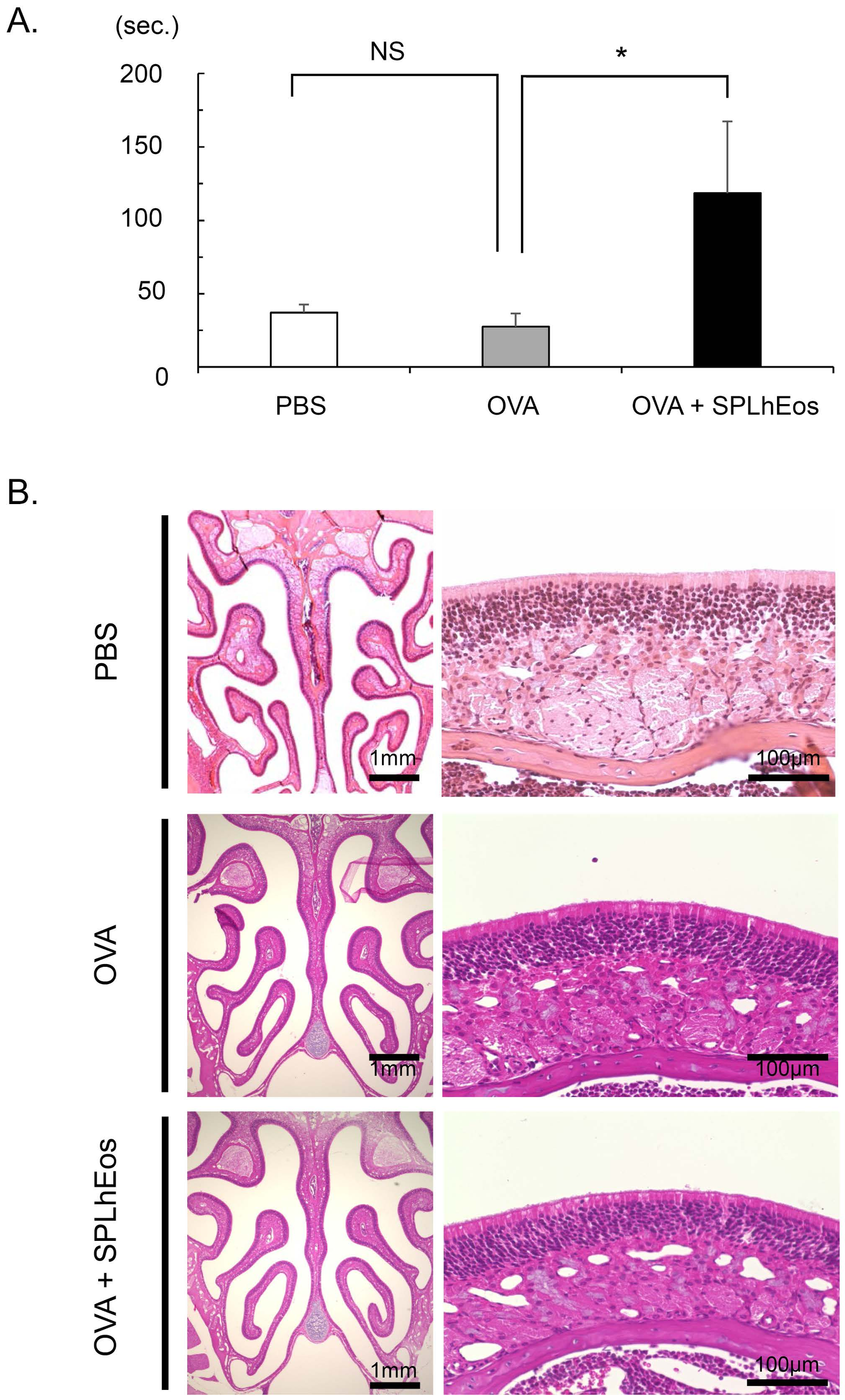 Medsci 07 00022 g002