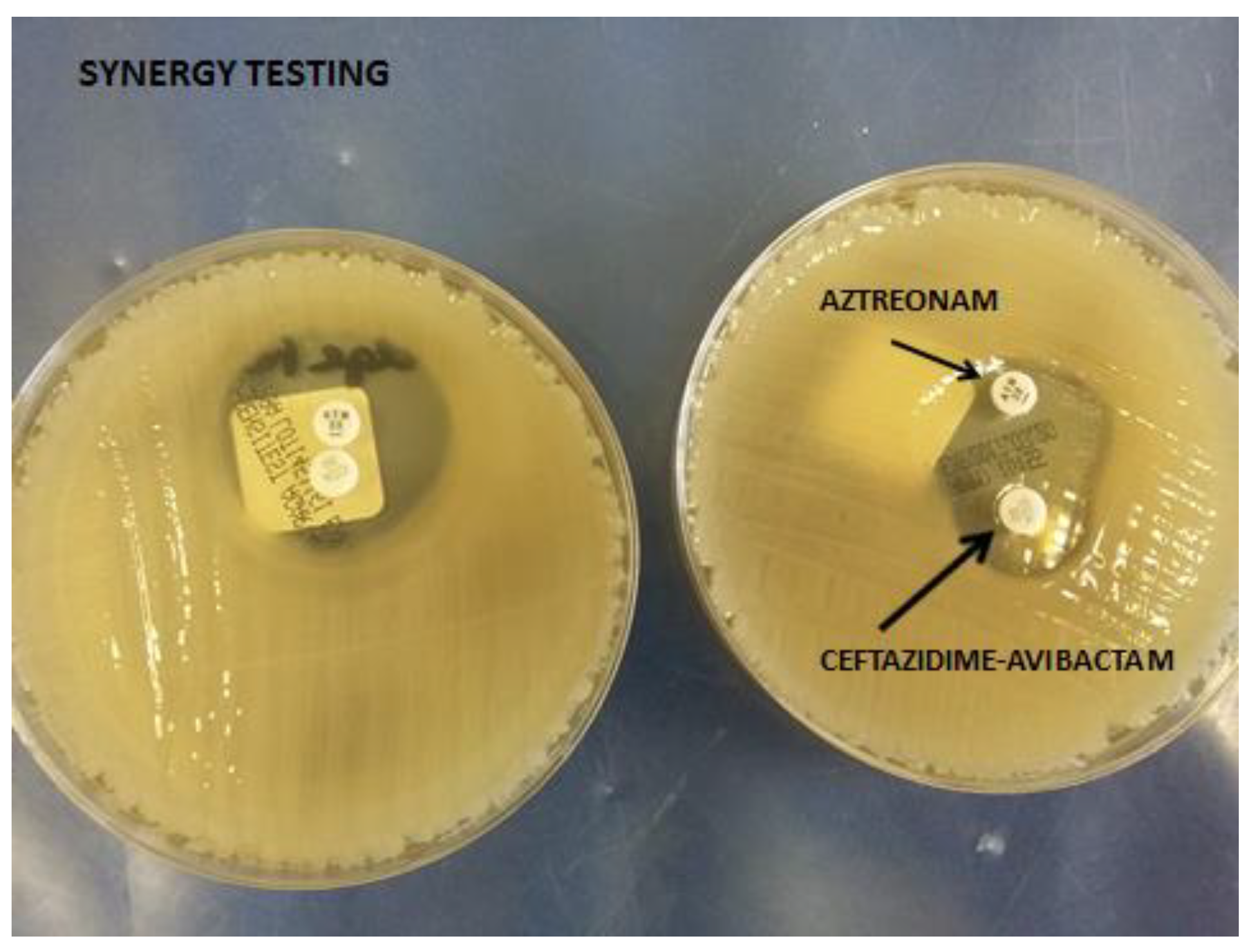 Medsci 07 00023 g001