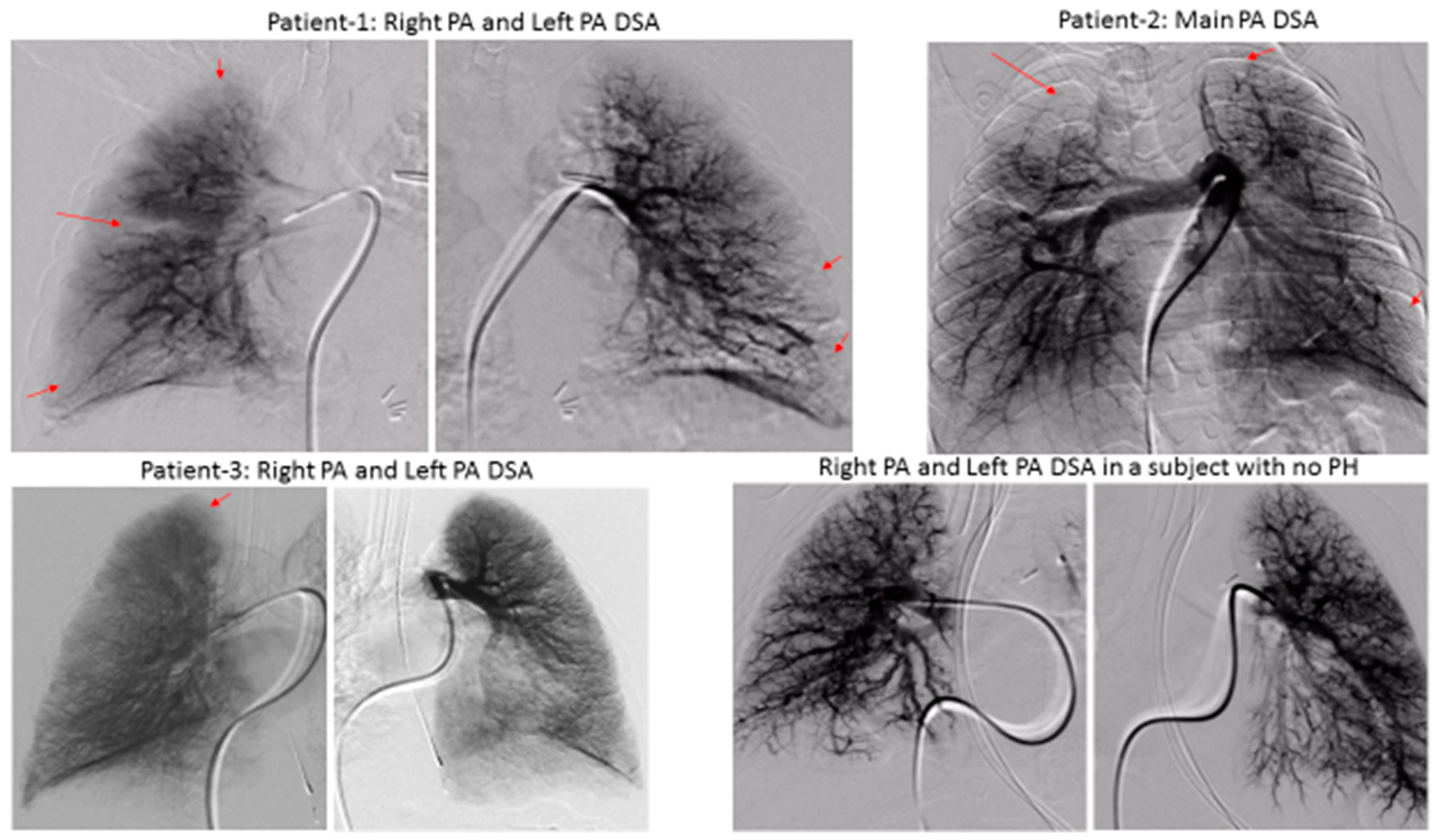 Medsci 07 00026 g002
