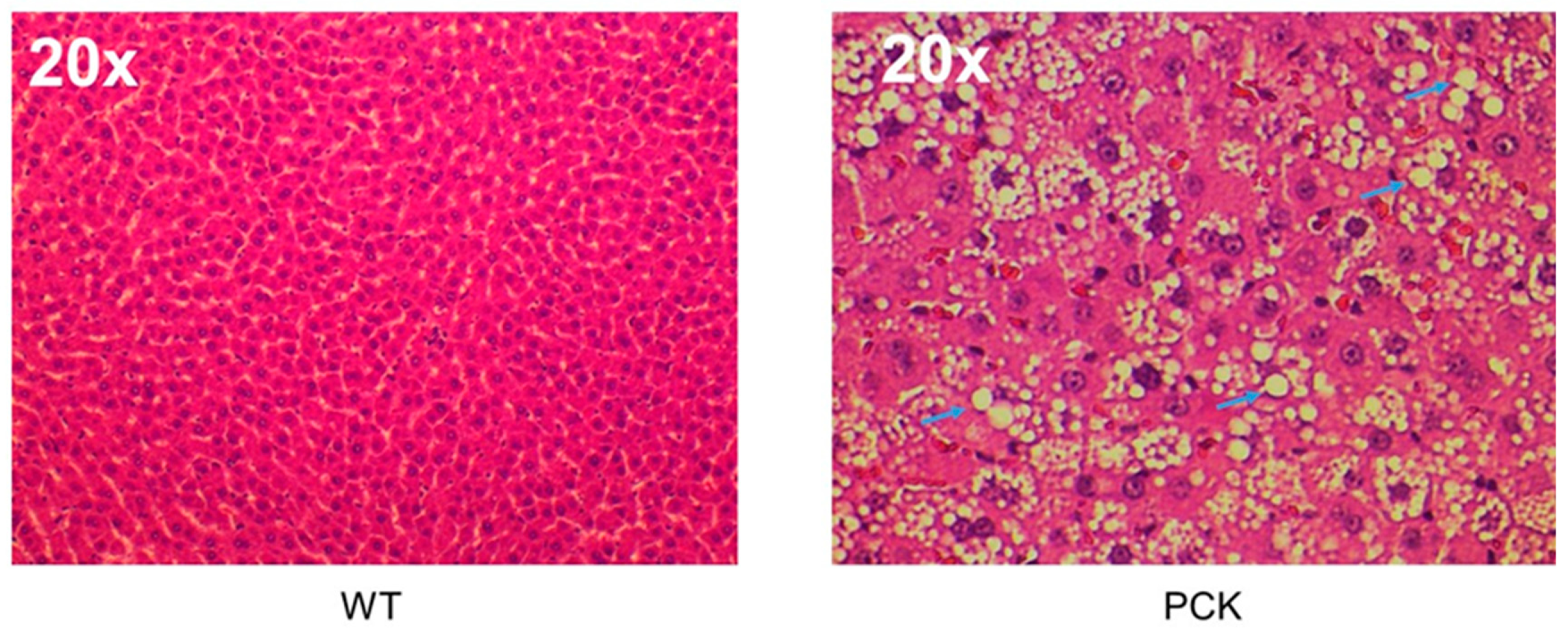 Medsci 07 00055 g003