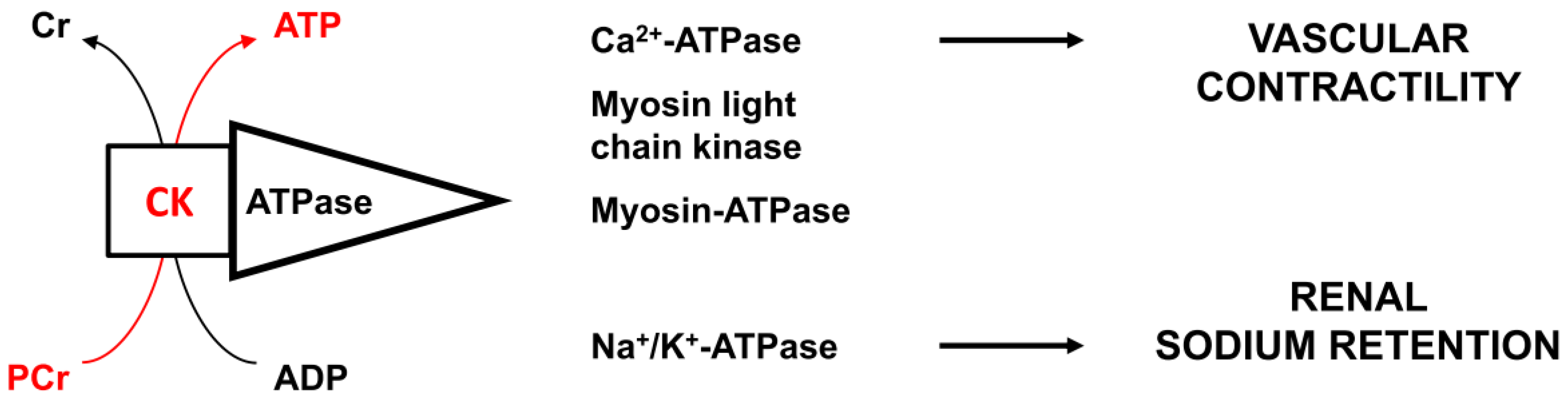 Medsci 07 00058 g001 Medsci 07 00058 g001