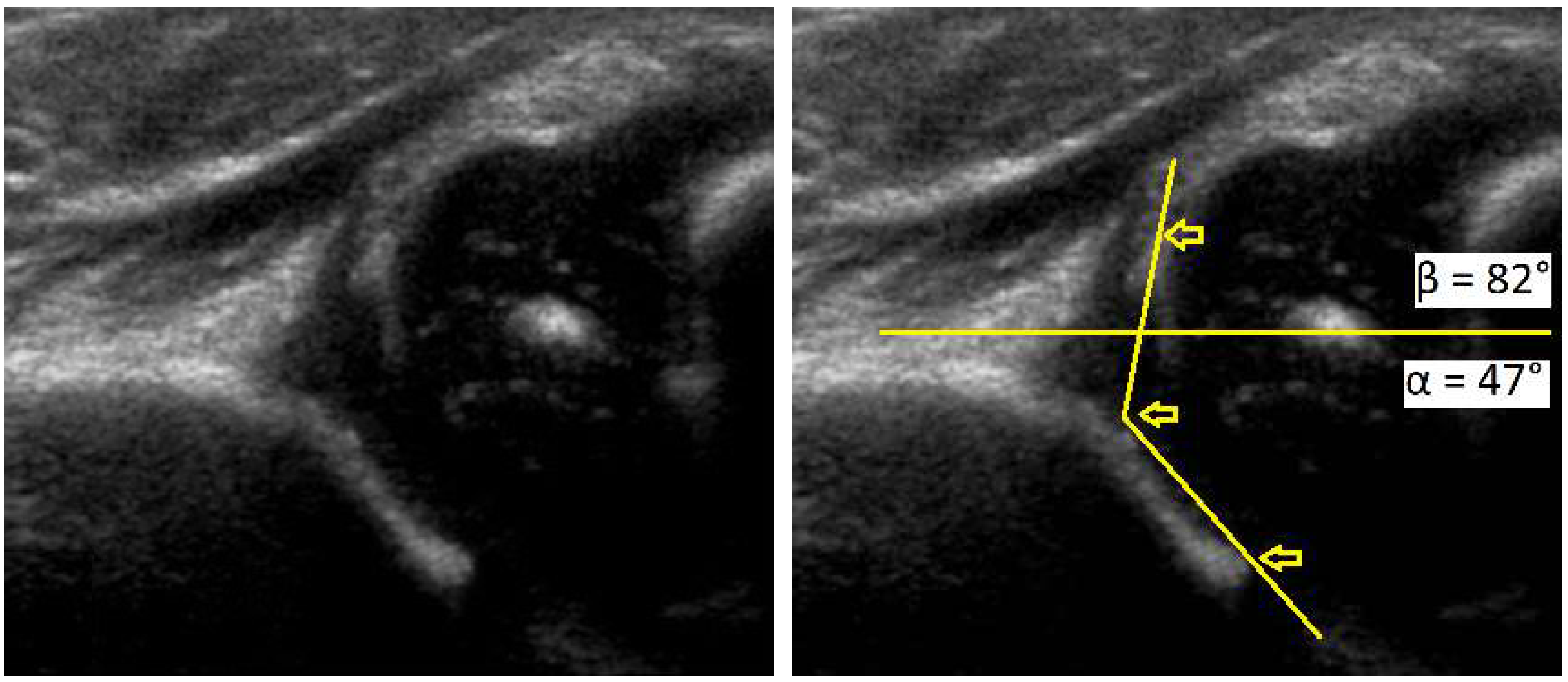 Medsci 07 00059 g001