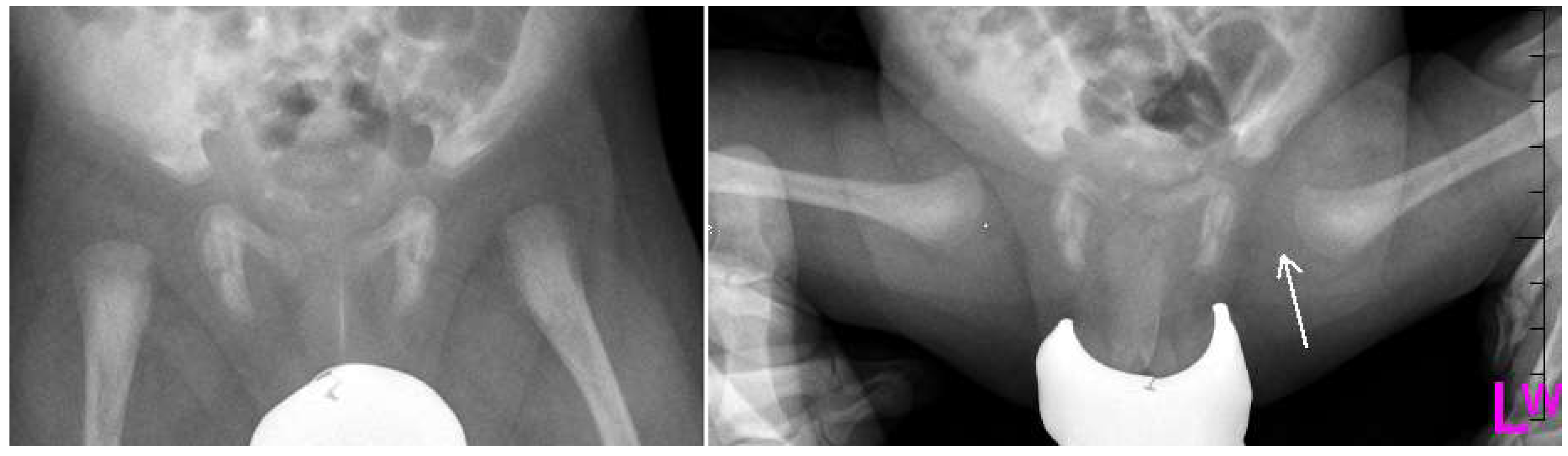 Medsci 07 00059 g002