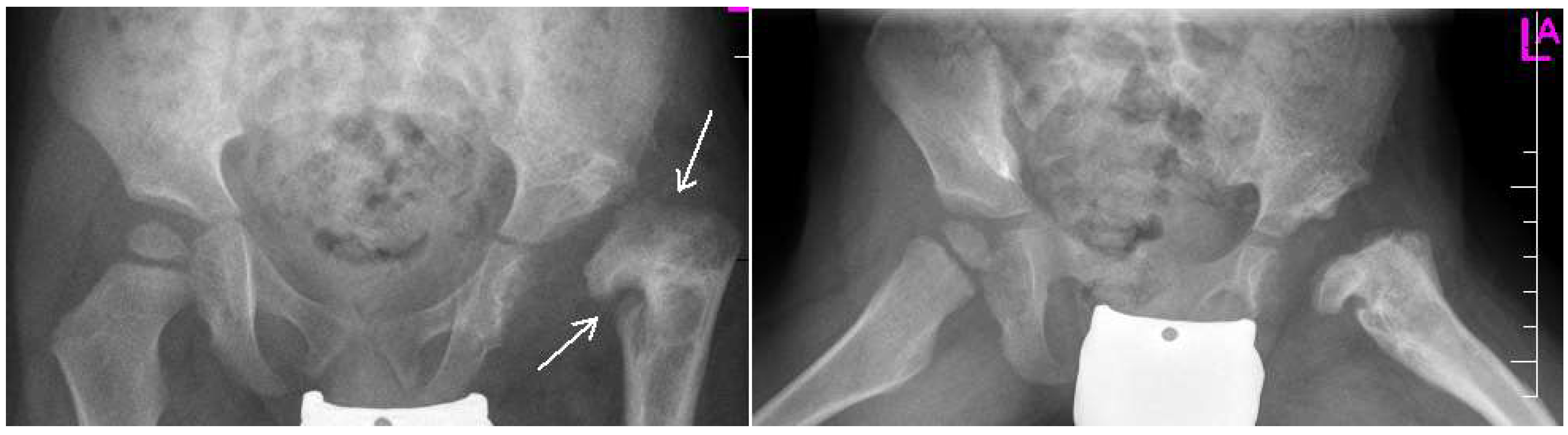 Medsci 07 00059 g003