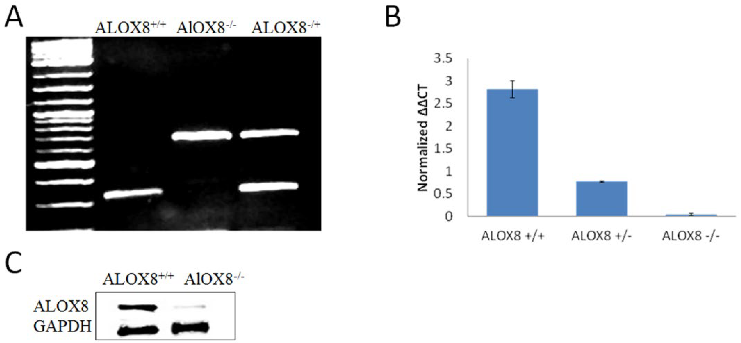Medsci 07 00060 g001