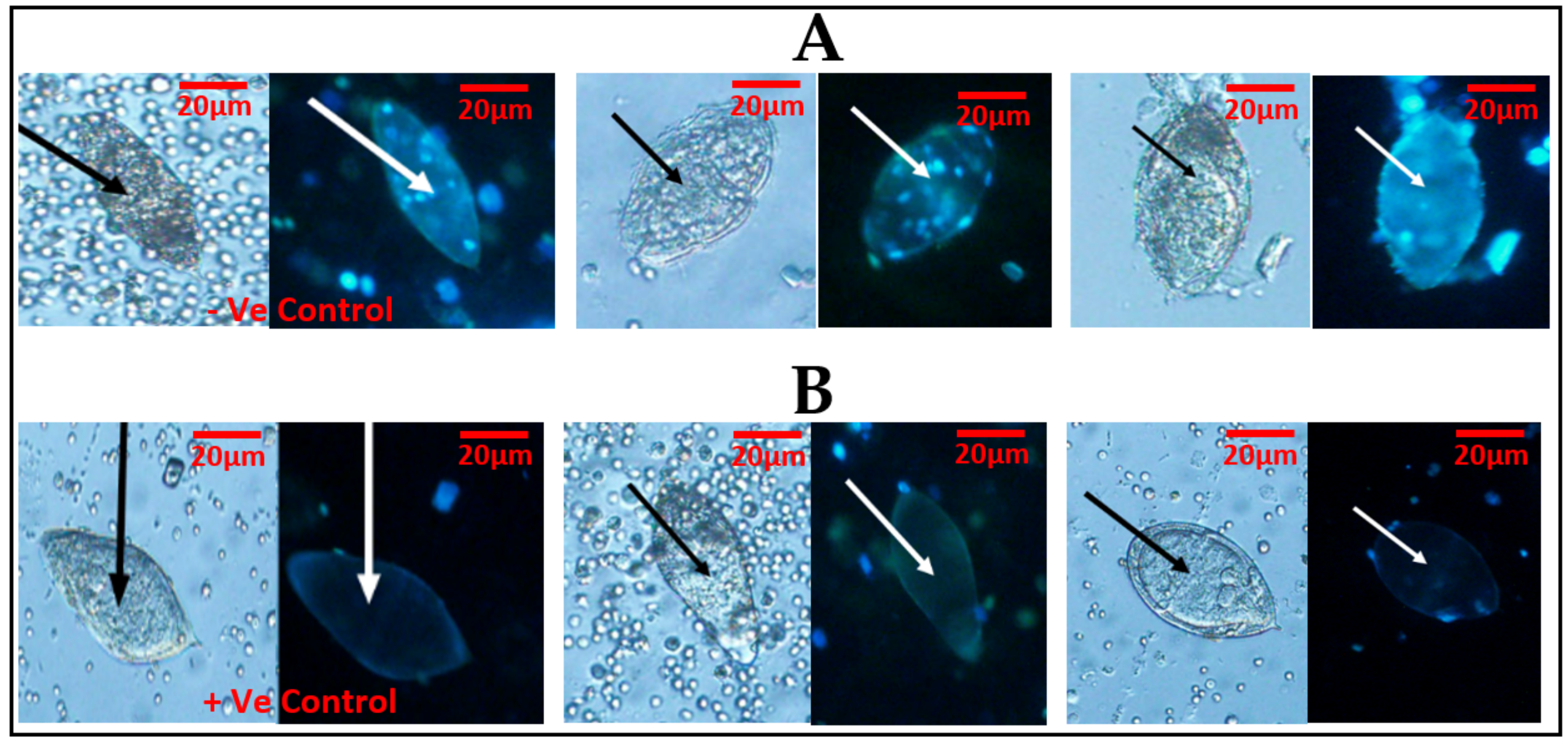 Medsci 07 00064 g002